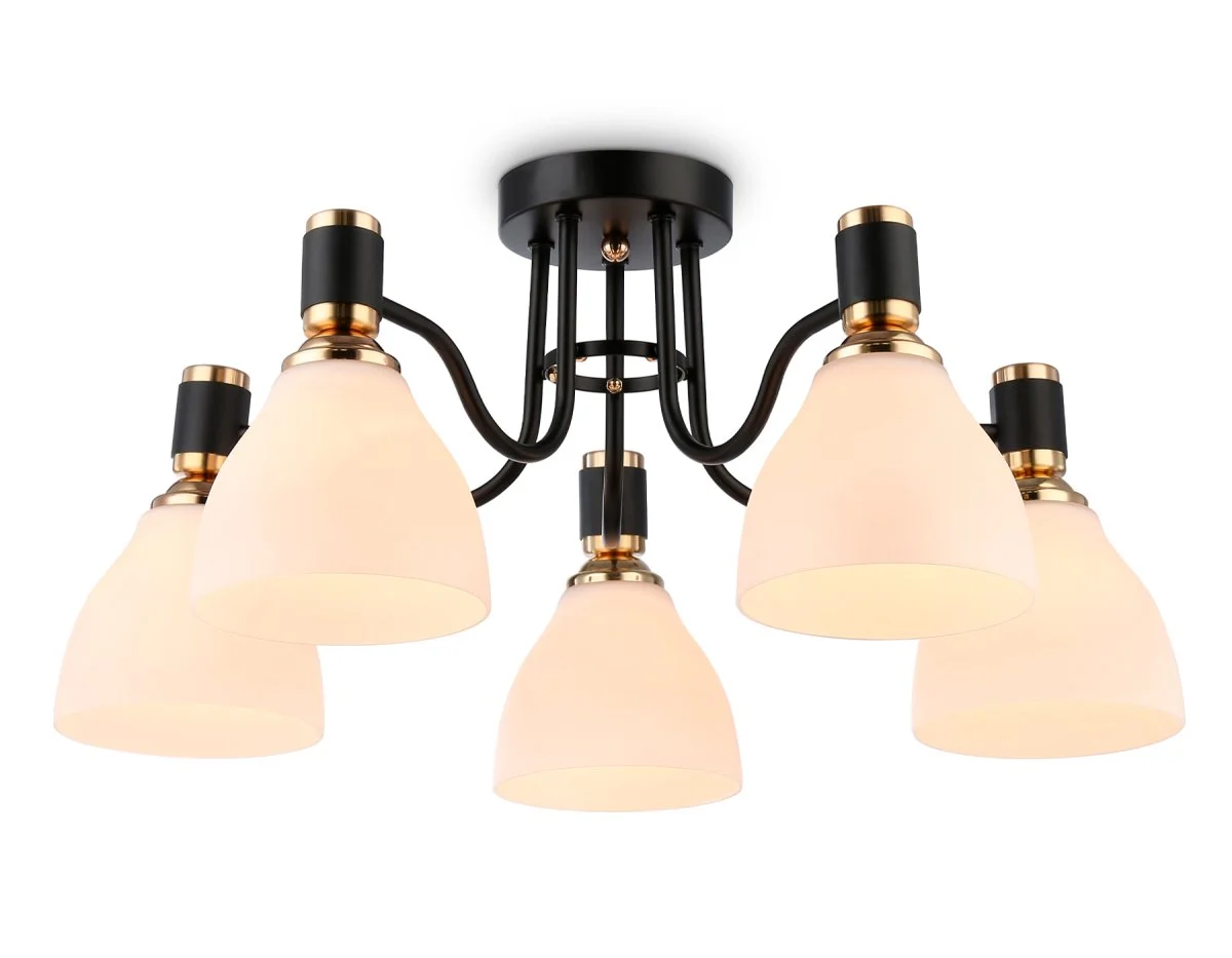 картинка Потолочный светильник TR303307