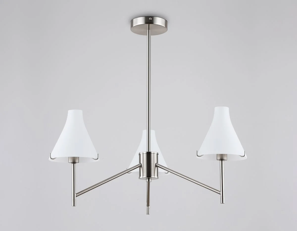 картинка Люстра со стеклянными плафонами на штанге LH57121