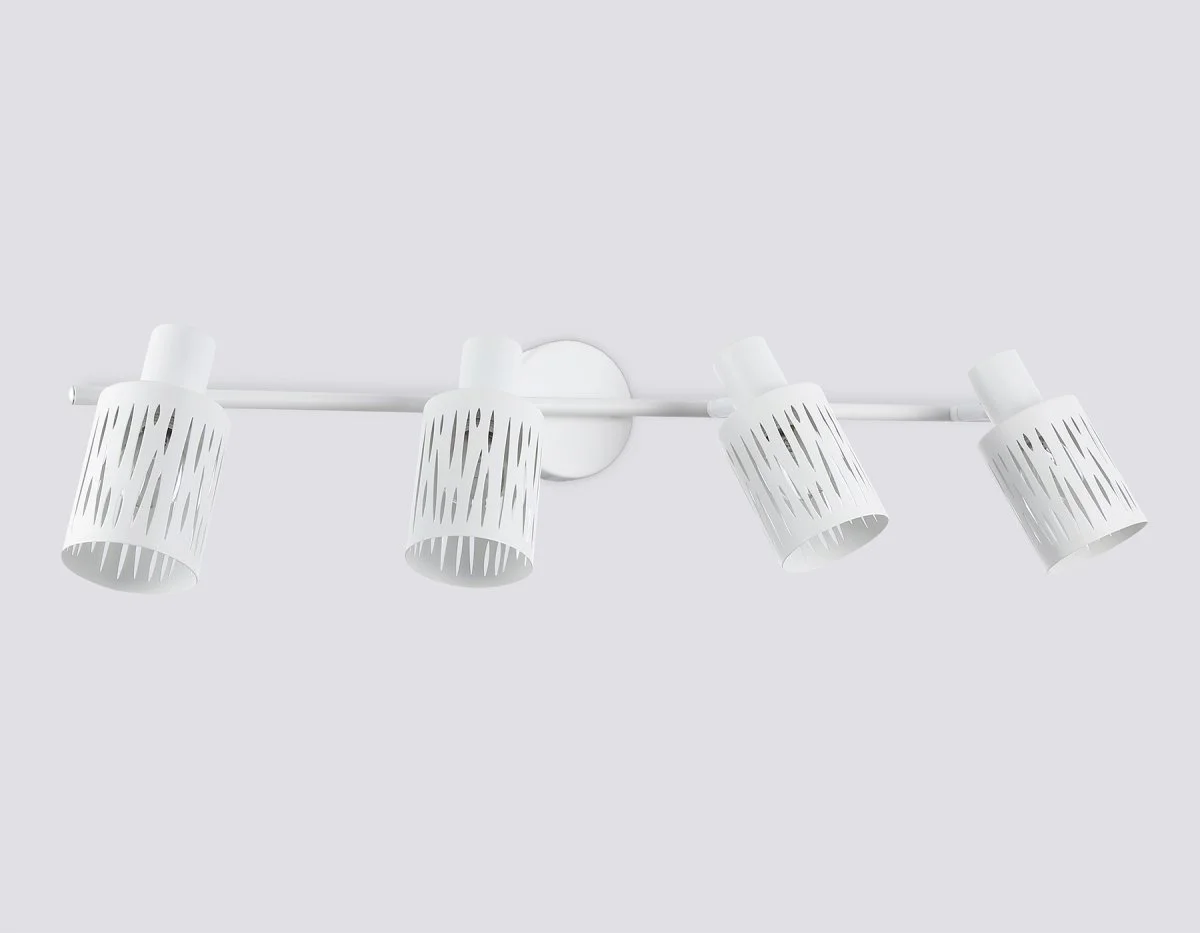 картинка Настенно-потолочный спот в стиле лофт TR8666