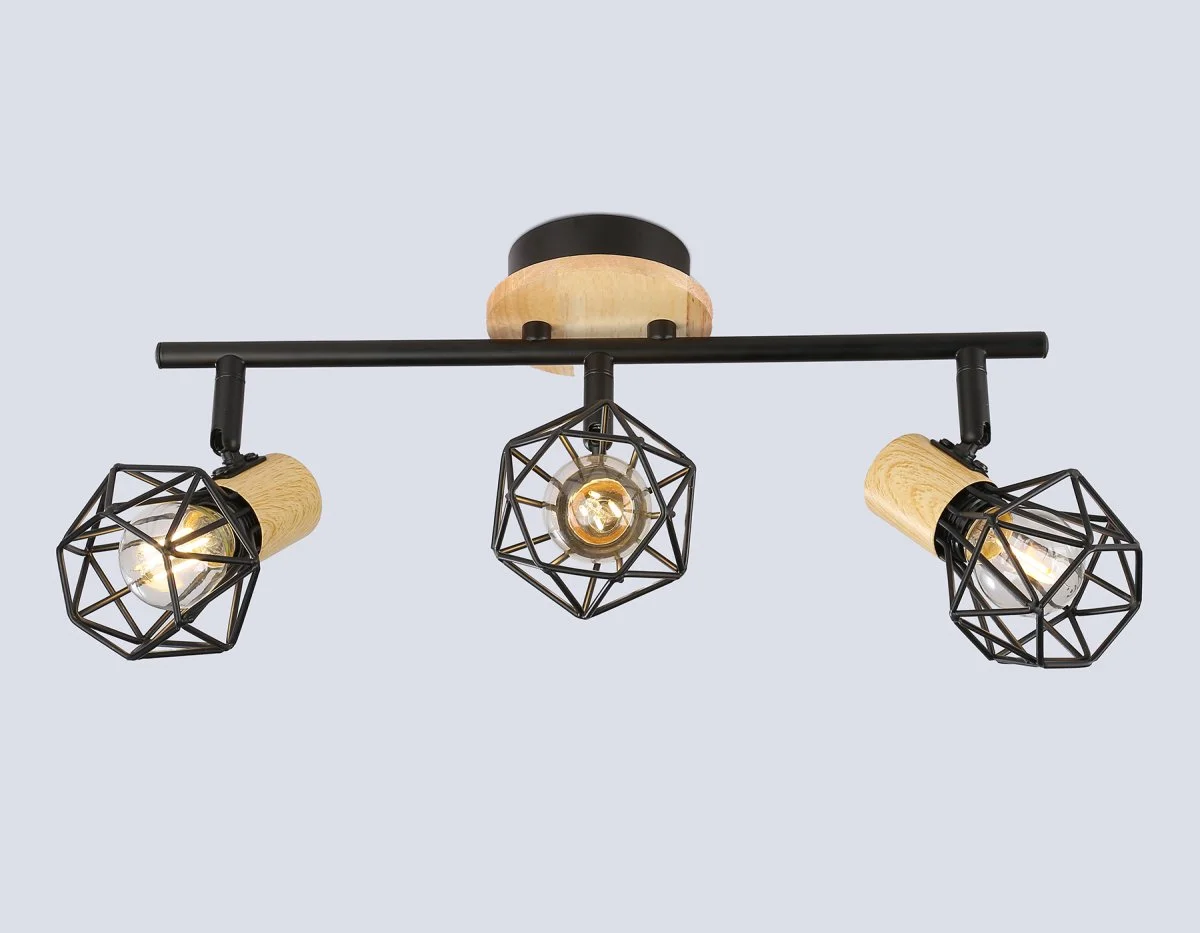 картинка Настенно-потолочный спот в стиле лофт TR8753