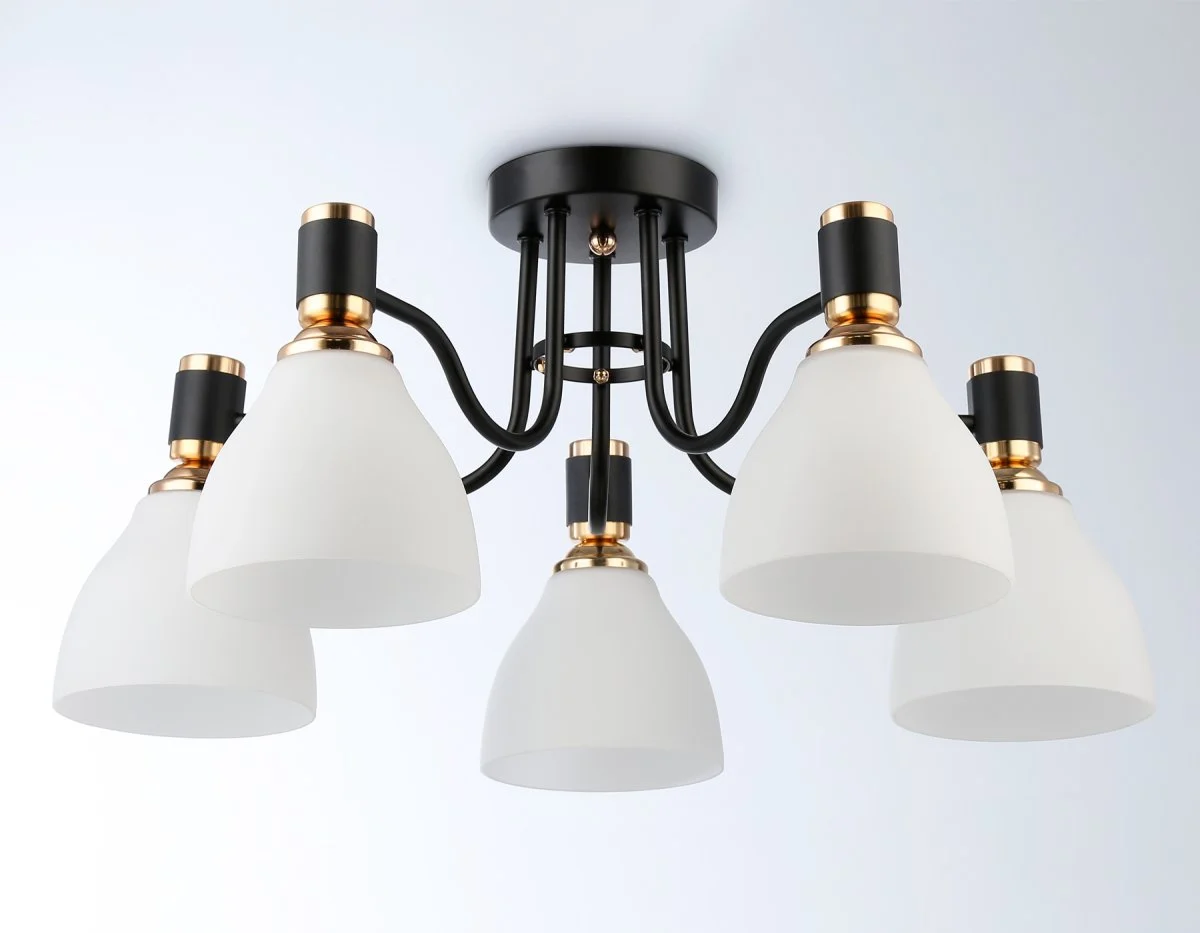 картинка Потолочный светильник TR303307