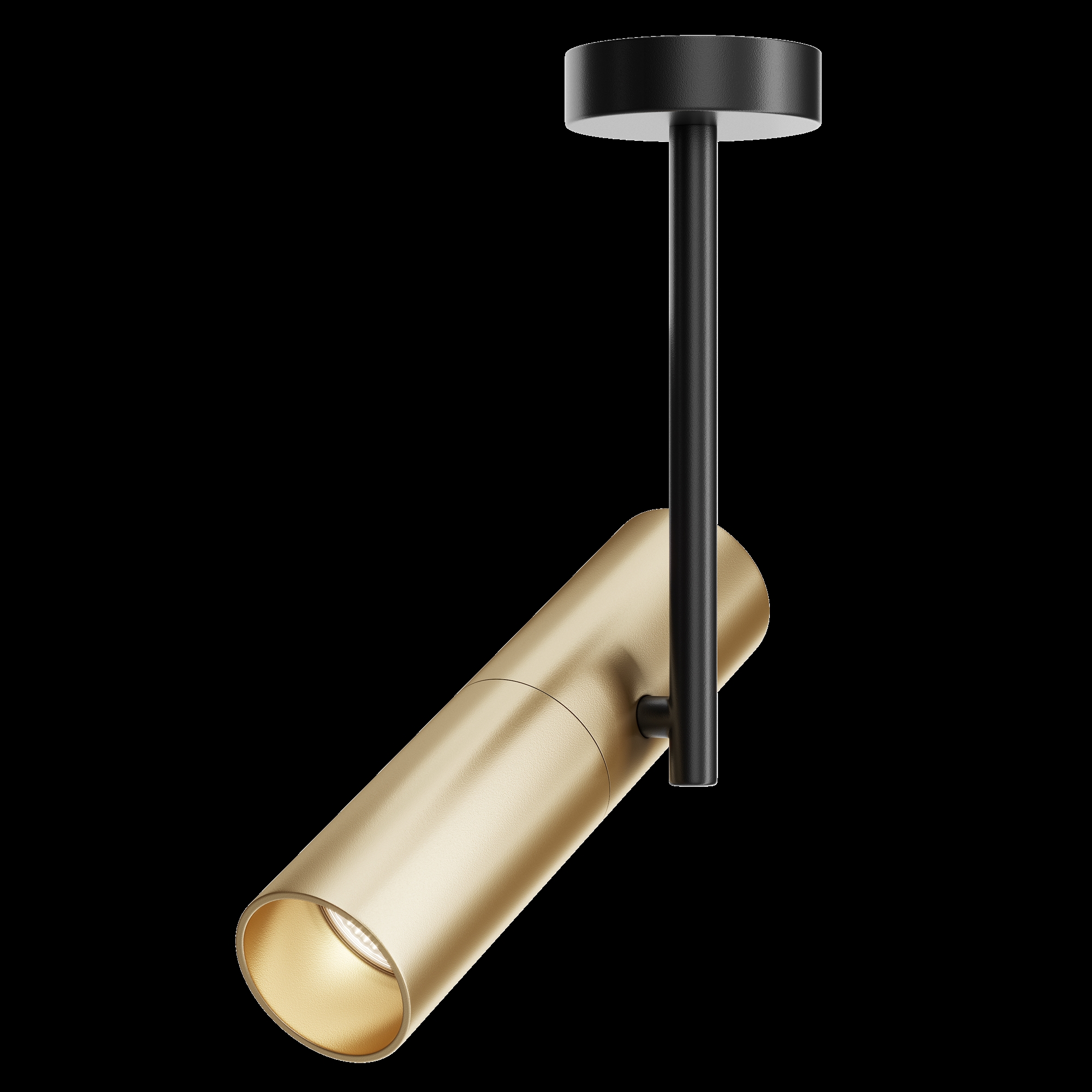 картинка Потолочный светильник Technical C020CL-01GB