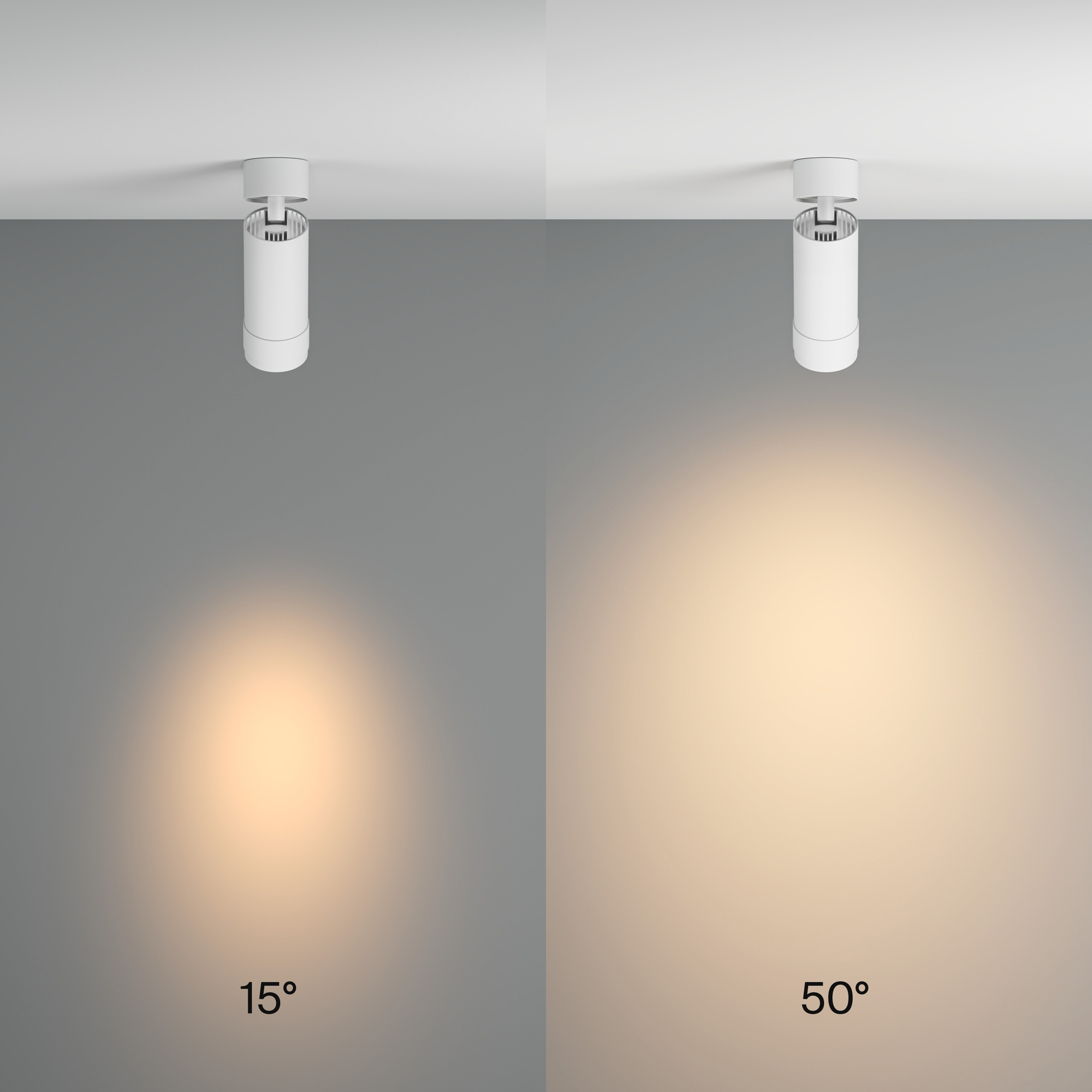 картинка Потолочный светильник Technical C055CL-L12W3K-Z-W