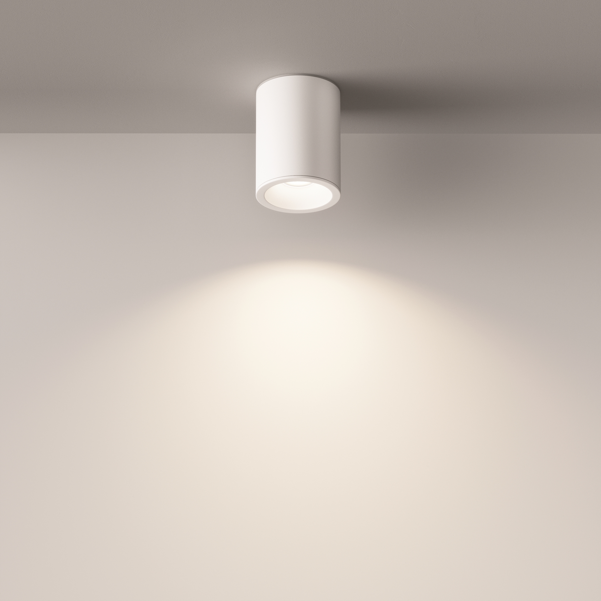 картинка Потолочный светильник Technical C029CL-01W