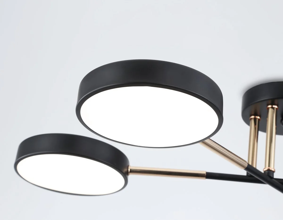 картинка Люстра светодиодная на штанге FL516332