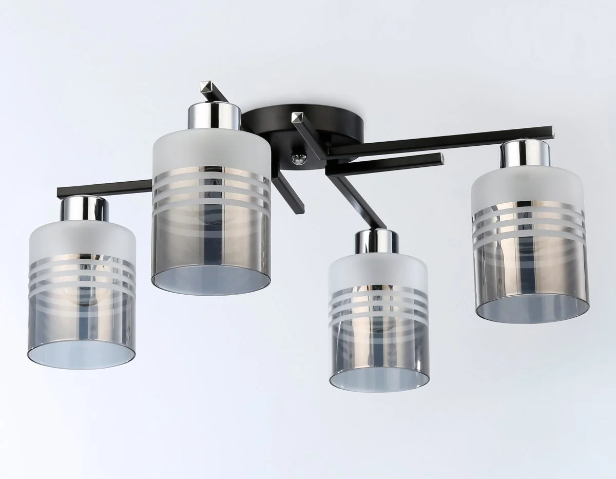 картинка Потолочный светильник