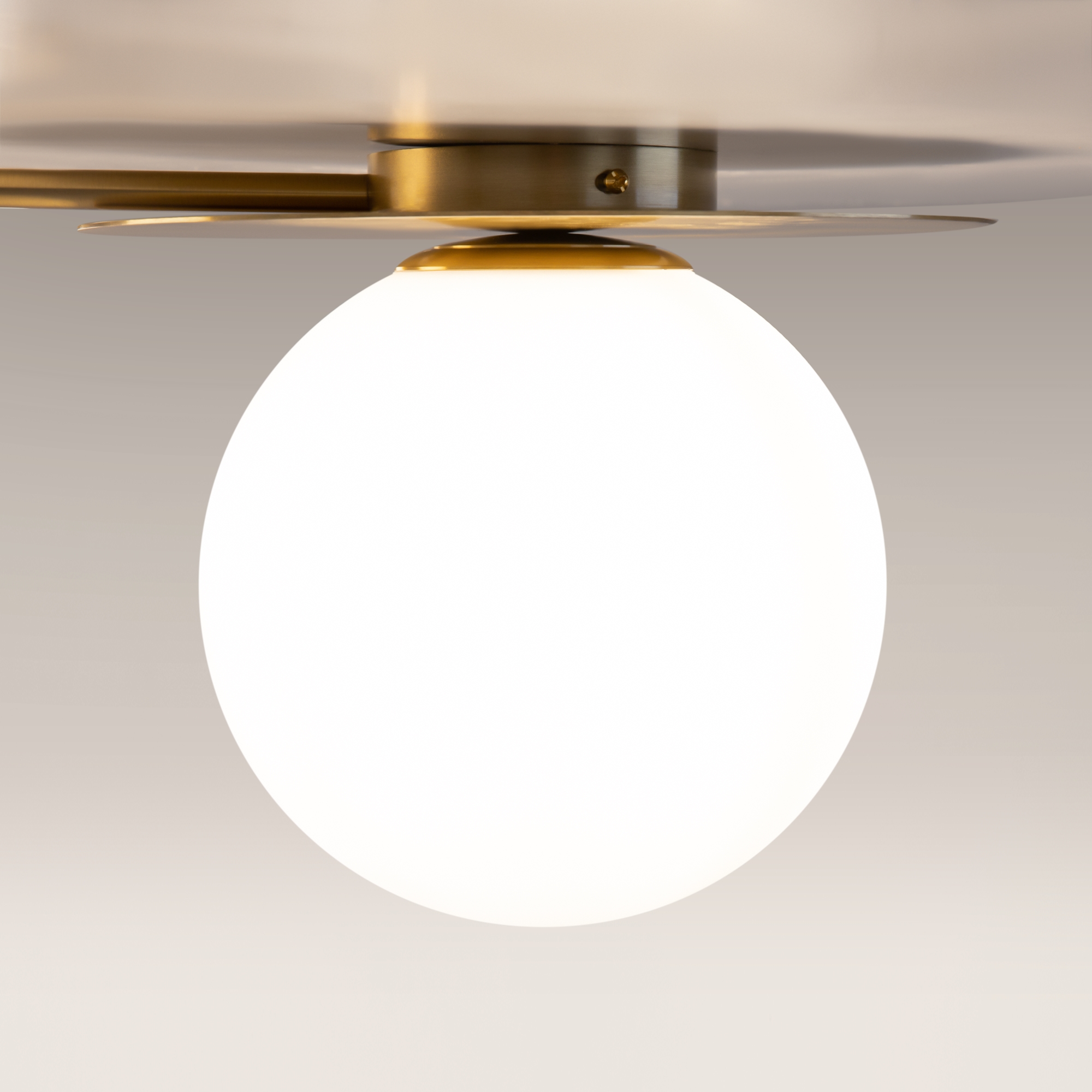 картинка Потолочный светильник Maytoni MOD291CL-04BS