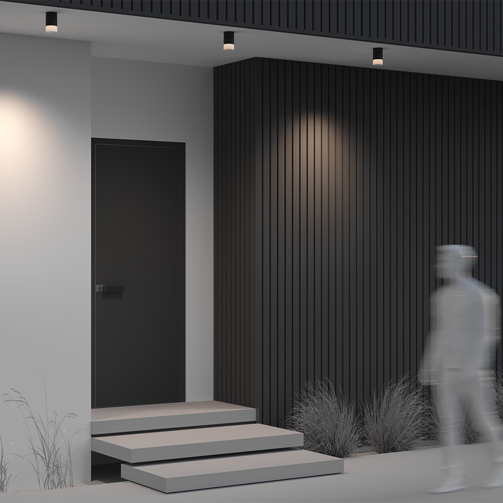 картинка Потолочный светильник Outdoor O499CL-L10B3K