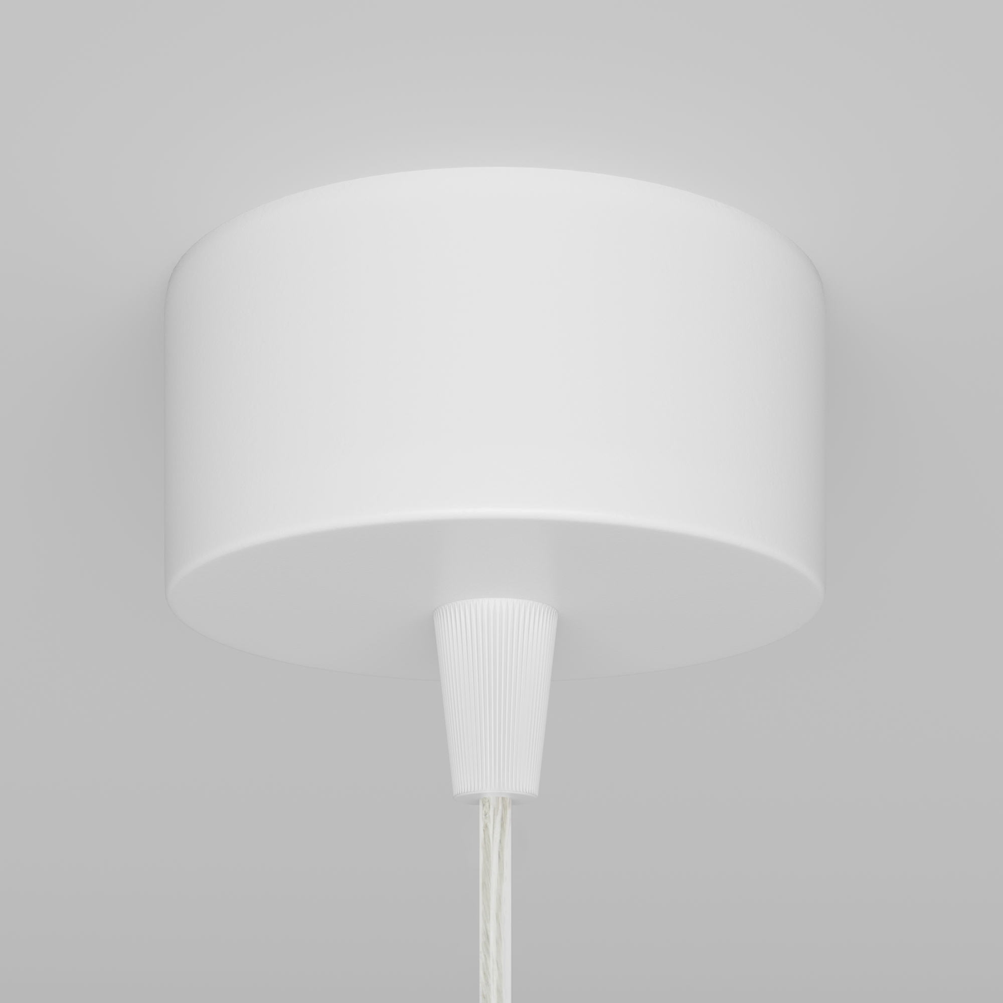 картинка Подвесной светильник Technical P075PL-01W