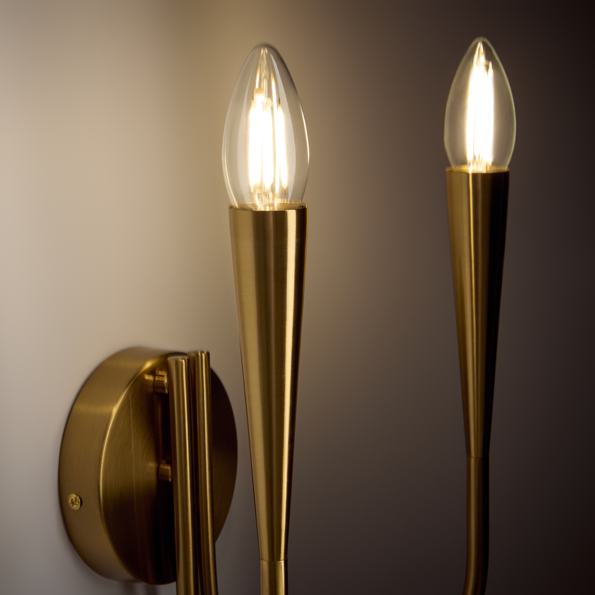 картинка Настенный светильник (бра) Freya FR5253WL-02BS