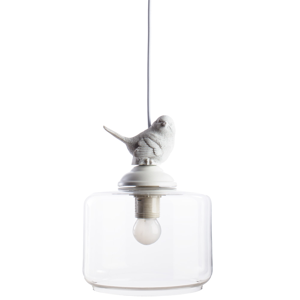 картинка Подвесной светильник Arte Lamp PASSERO A8029SP-1WH