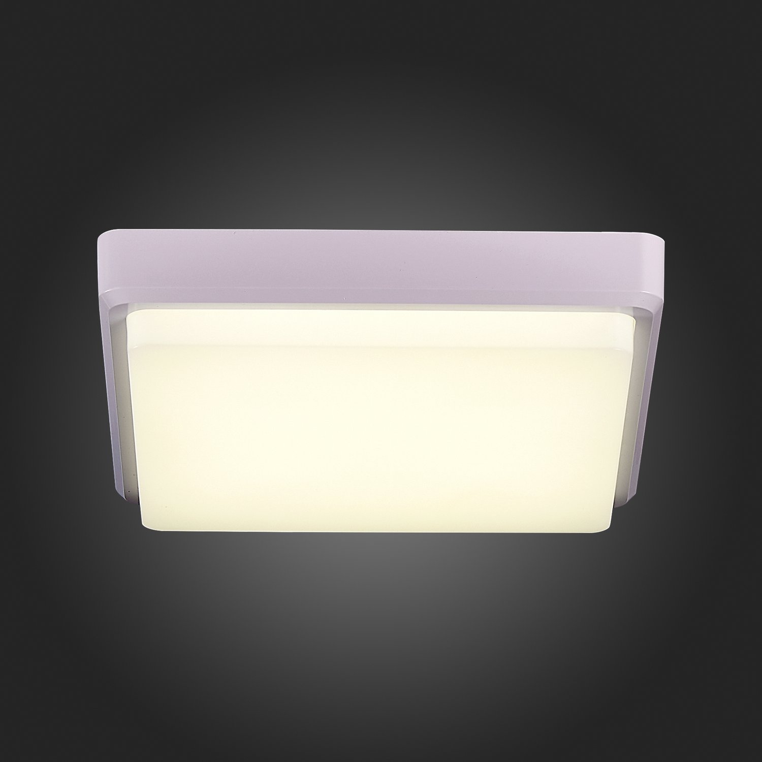 картинка SLE200212-01 Светильник потолочный Белый/Белый LED 1*20W 4000K