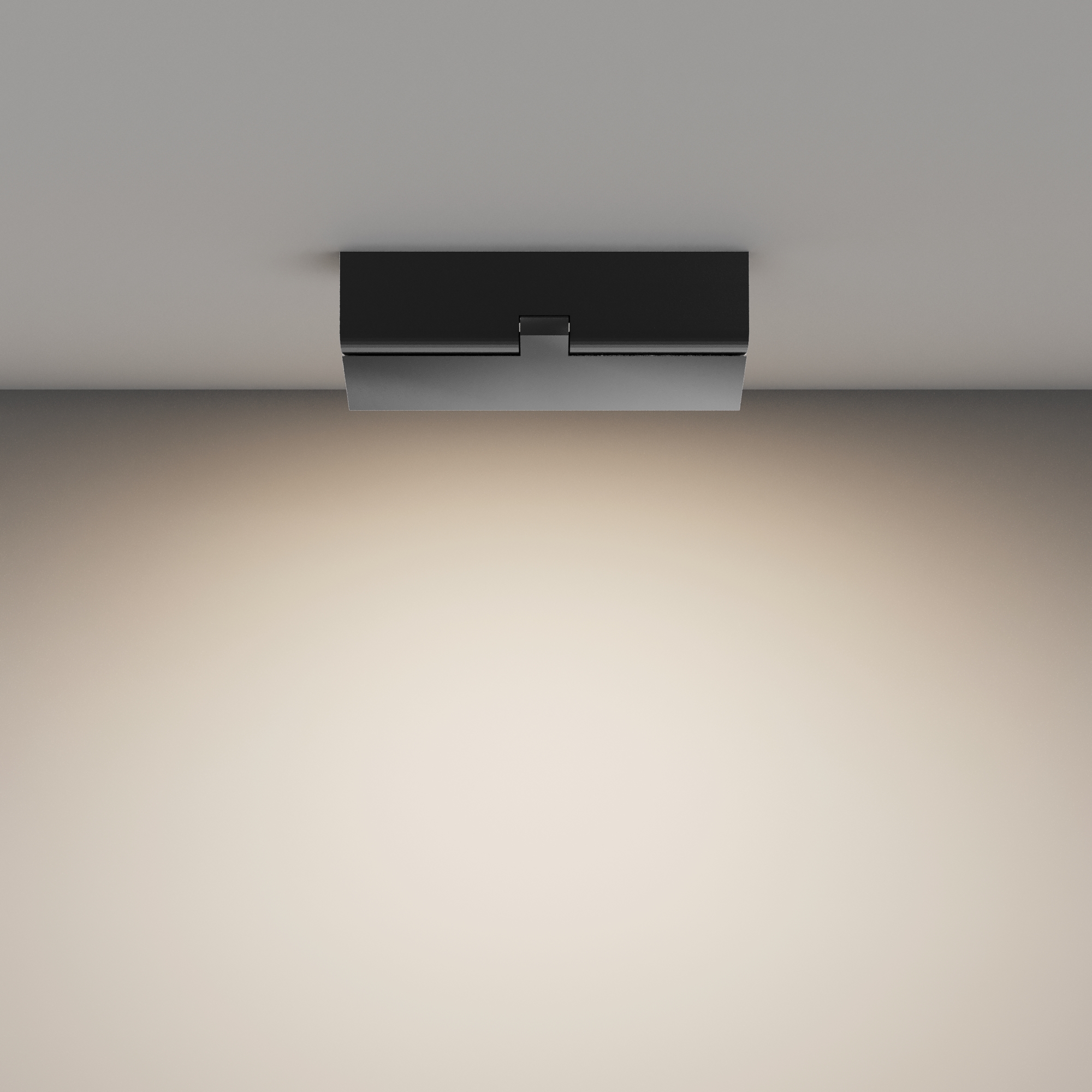 картинка Потолочный светильник Technical C133CL-12W4K-B