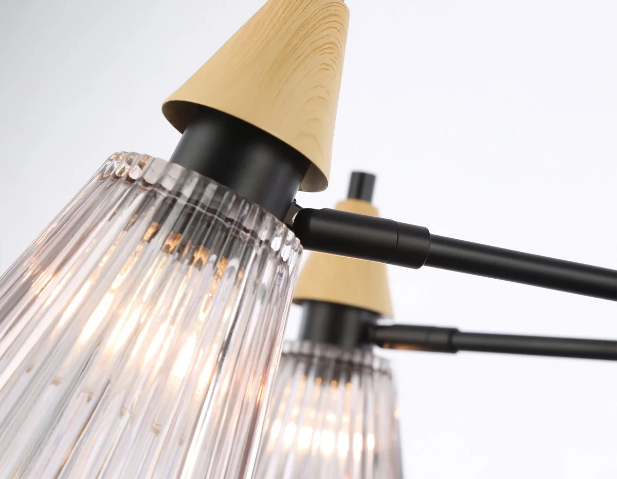 картинка Люстра на штанге LH58116