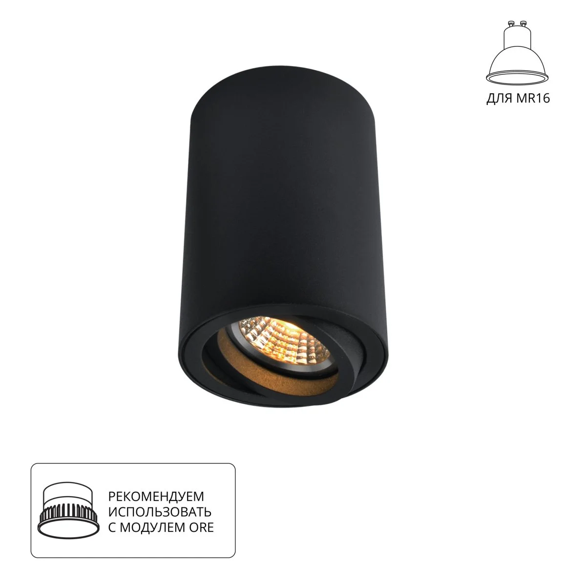 картинка Точечный накладной светильник Arte Lamp SENTRY A1560PL-1BK