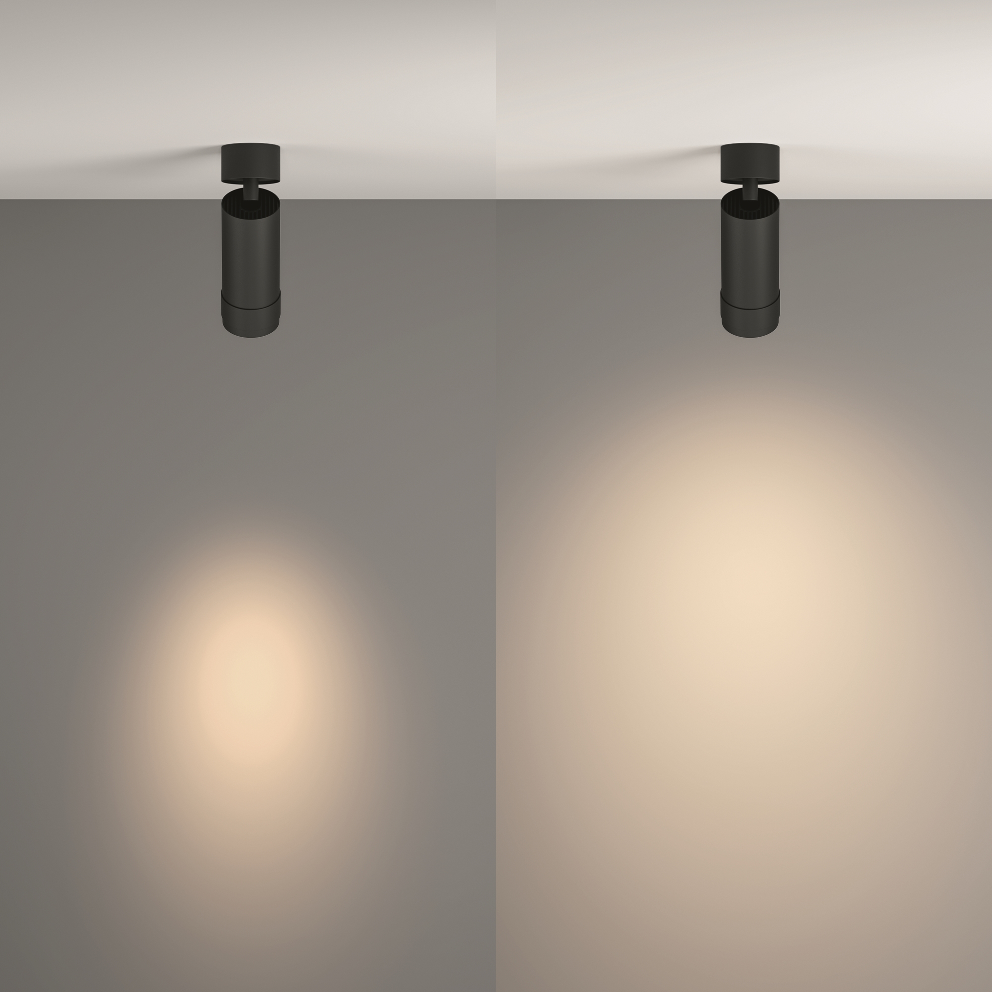 картинка Потолочный светильник Technical C055CL-L12W4K-Z-B