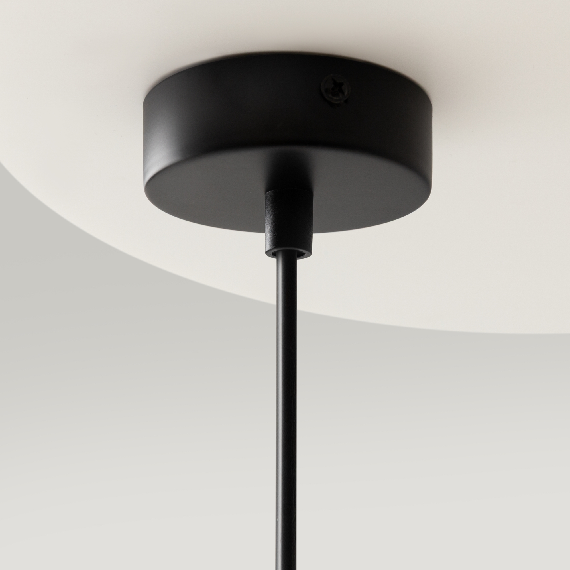 картинка Подвесной светильник Maytoni MOD013PL-06B