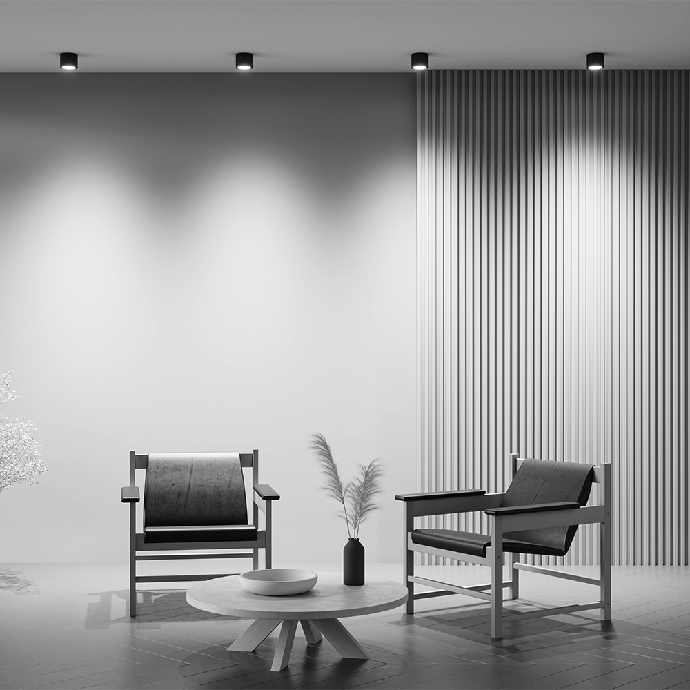 картинка Потолочный светильник Technical C095CL-GX53-B