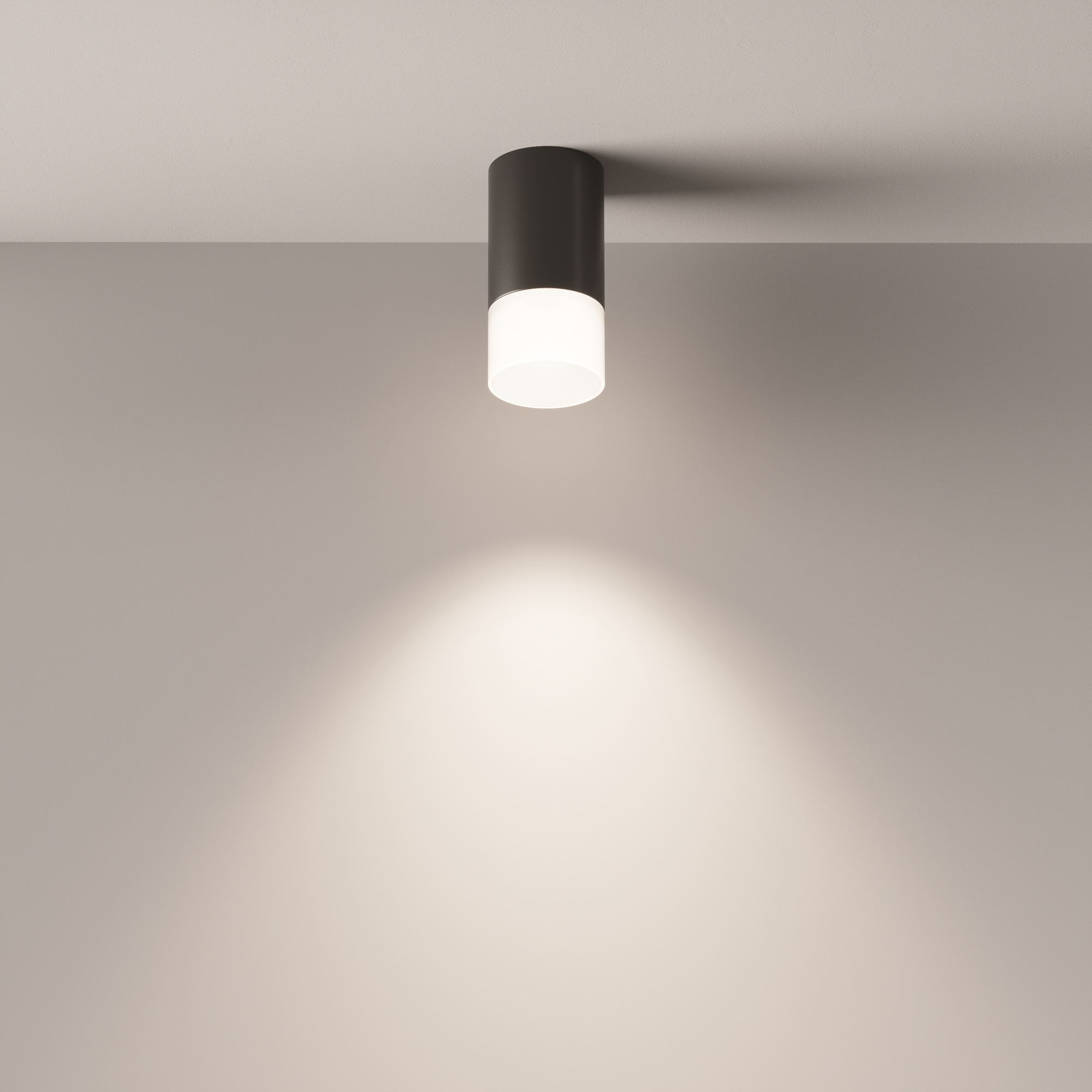 картинка Потолочный светильник Technical C007CW-01B