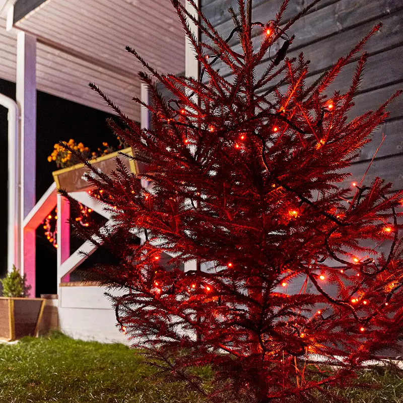 картинка Гирлянда Нить управляемая 10м 100 LED КРАСНЫЙ черный ПВХ IP 65 свечение с динамикой 230В контроллер в комплекте NEON-NIGHT