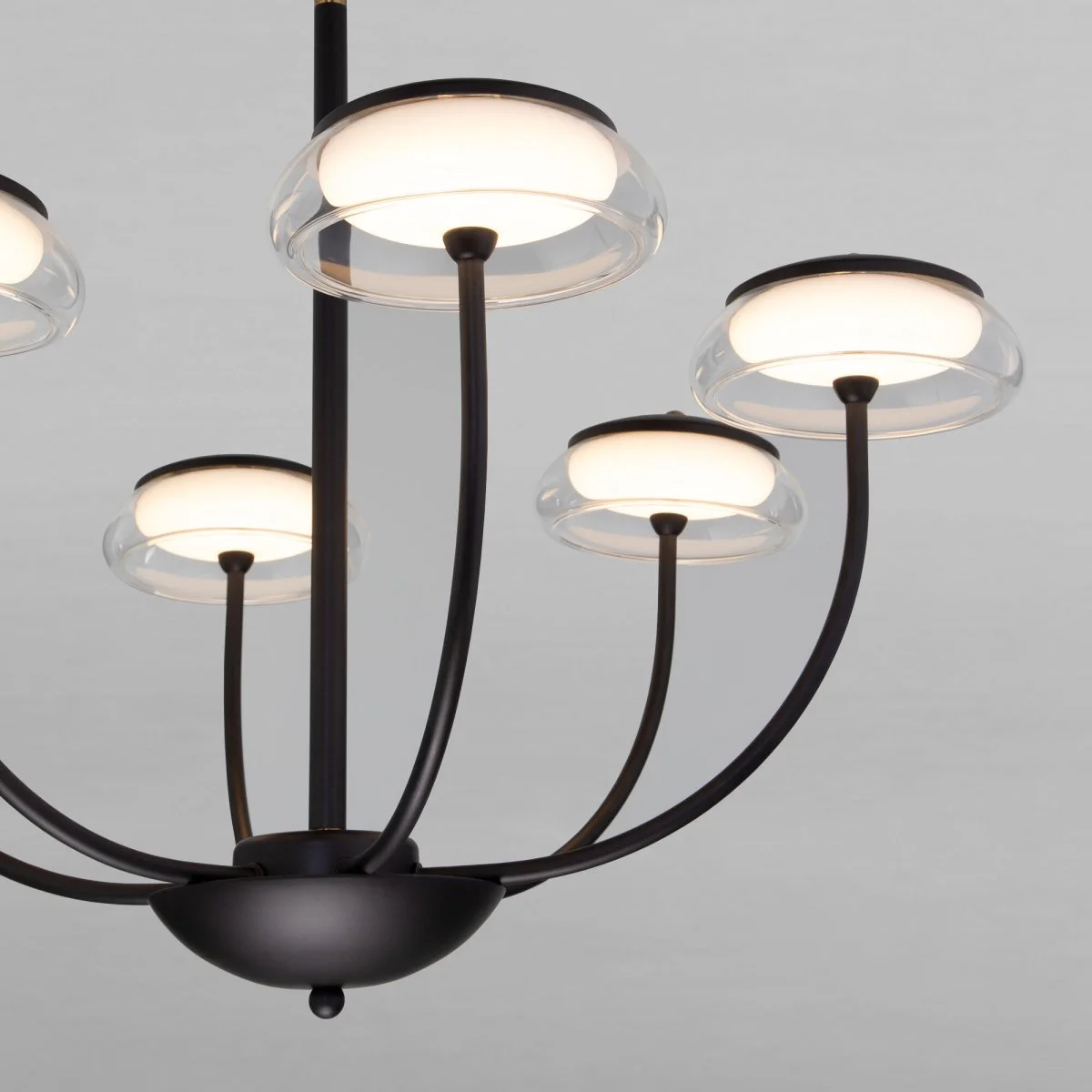 картинка Потолочный светильник со стеклянным плафоном 50388 LED Черный