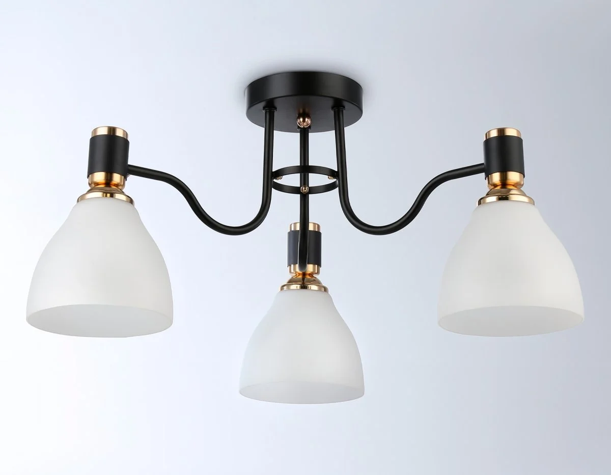 картинка Потолочный светильник TR303303