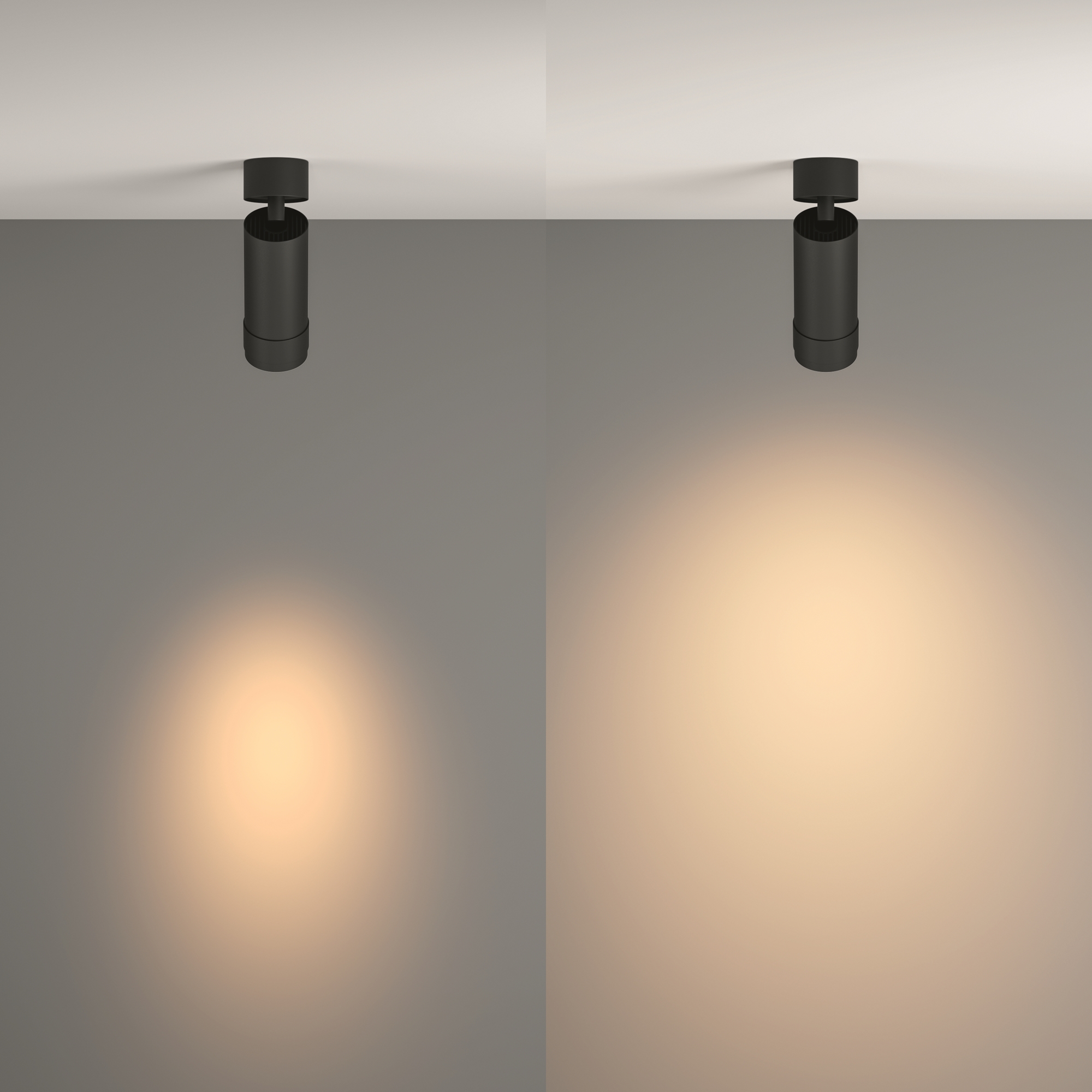 картинка Потолочный светильник Technical C055CL-L12W3K-Z-B