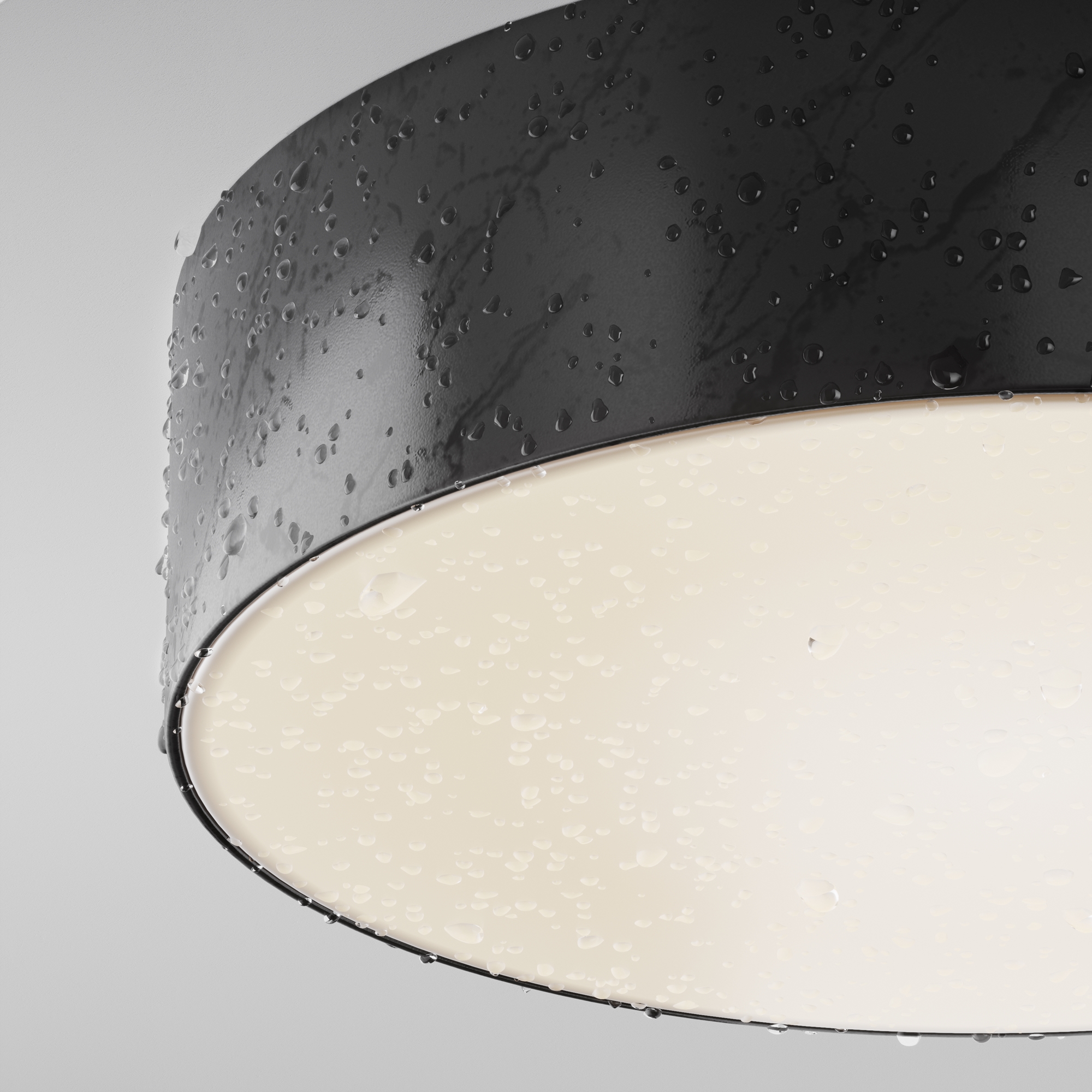 картинка Потолочный светильник Outdoor O431CL-L30B4K