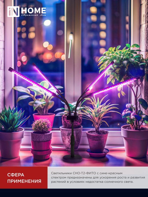 картинка Светильник настольный на основании светодиодный СНО-Т2-ФИТО 4С40 красно-синий 40Вт 4 плафона, пульт на шнуре IN HOME