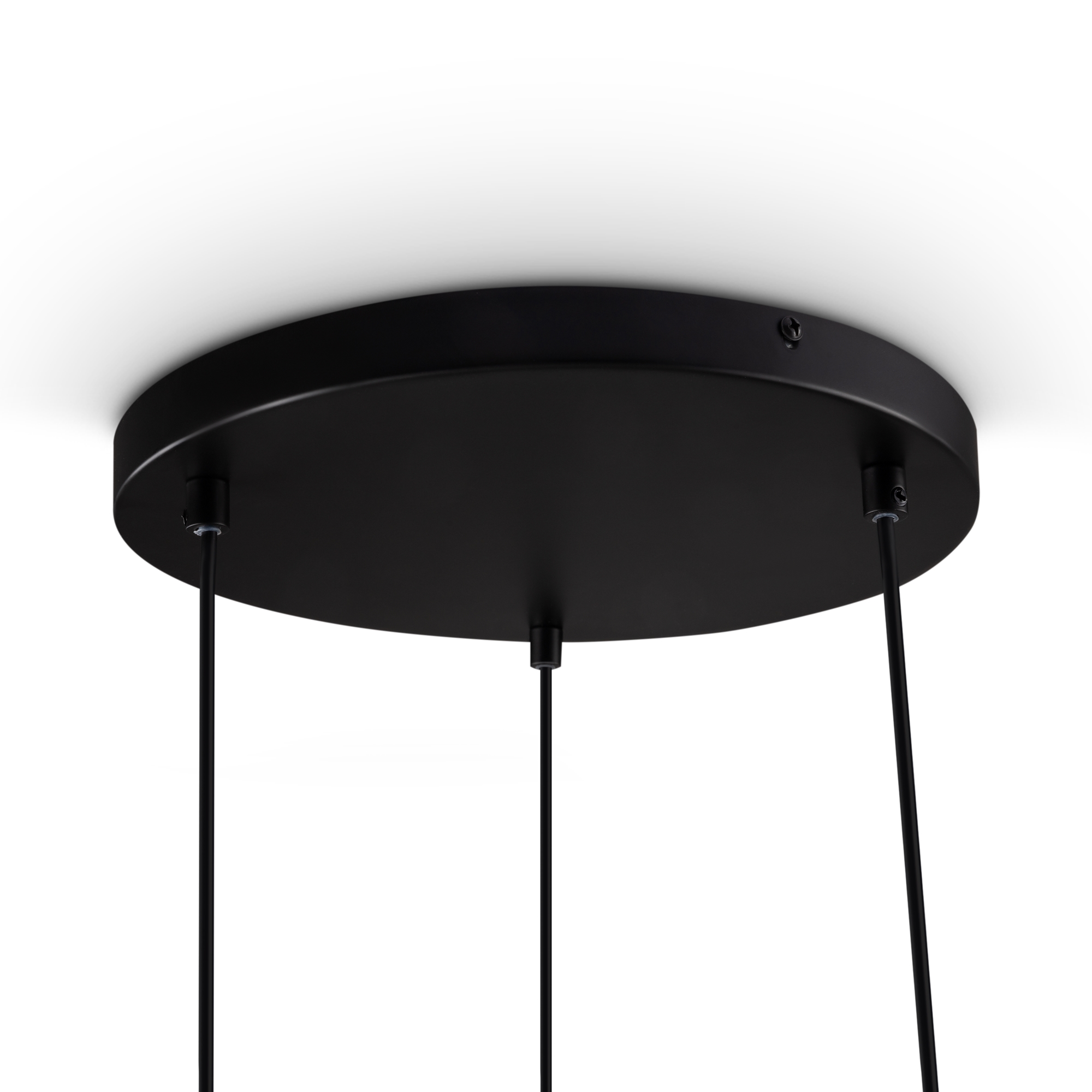 картинка Подвесной светильник Freya FR1011PL-03B