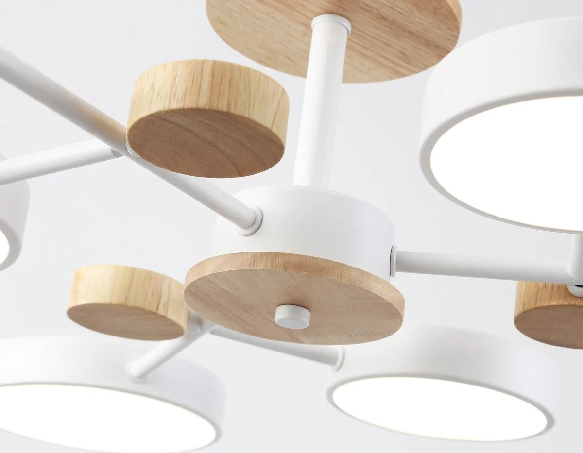 картинка Люстра светодиодная на штанге FL4861