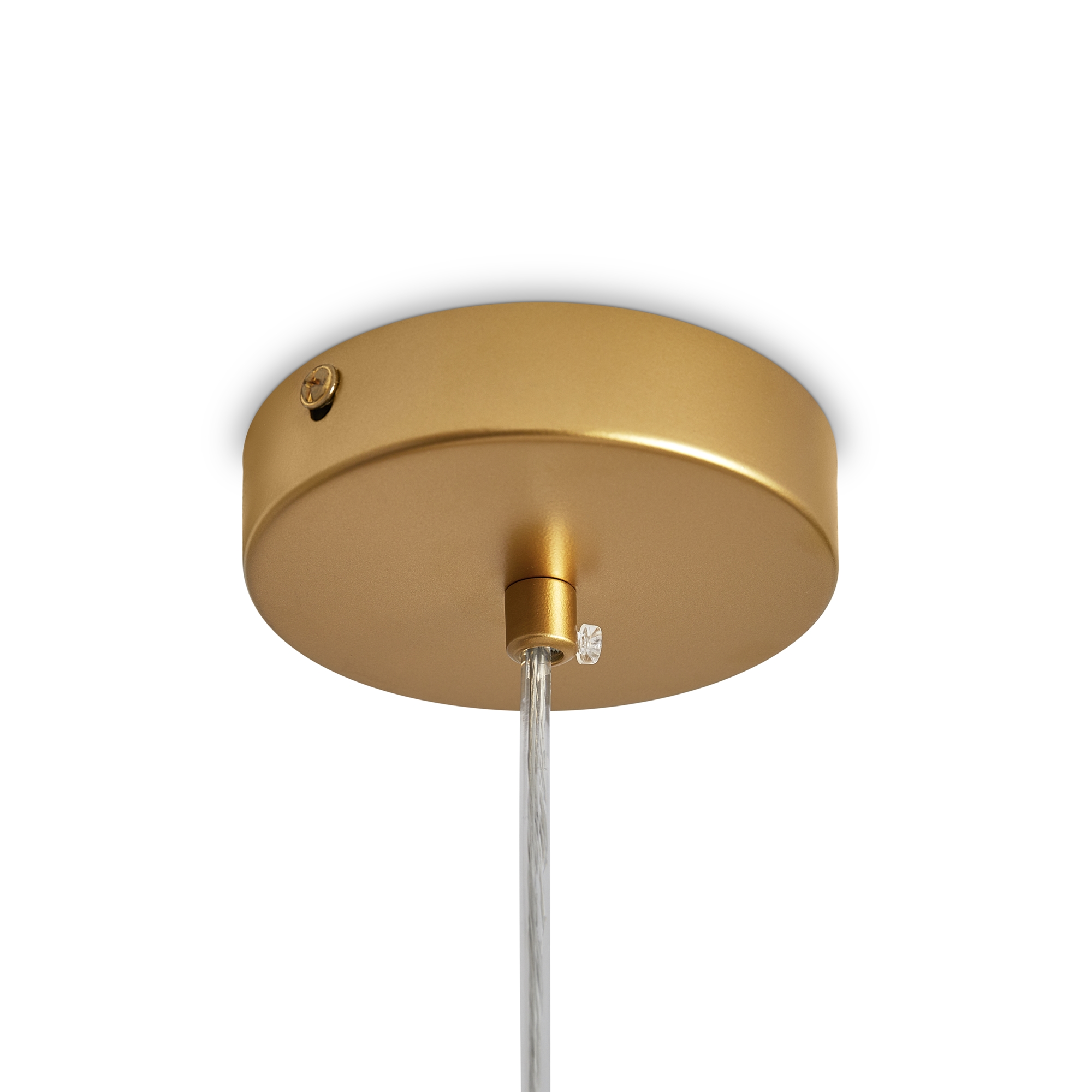 картинка Подвесной светильник Freya FR5528PL-01BS