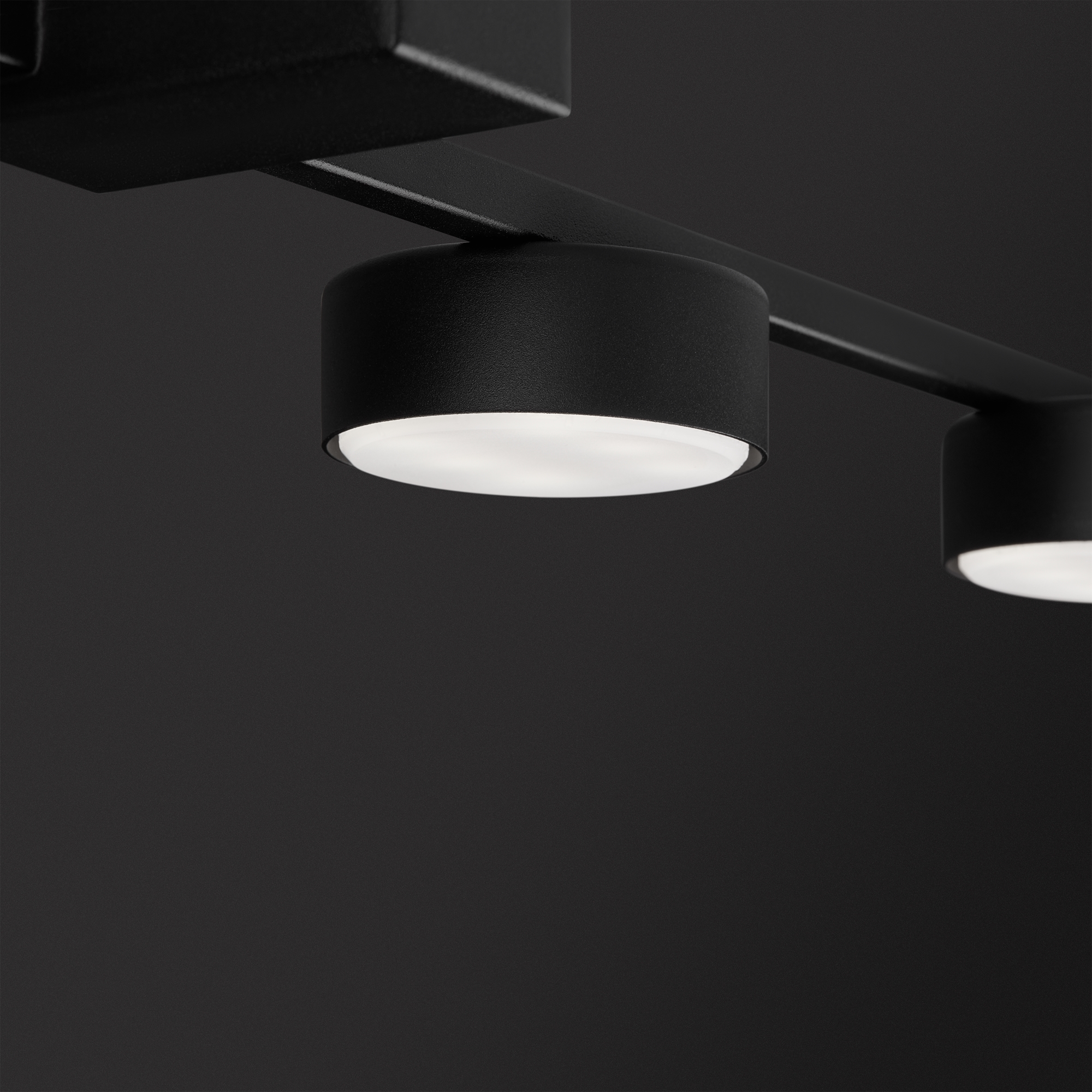 картинка Потолочный светильник Freya FR5363CL-03B