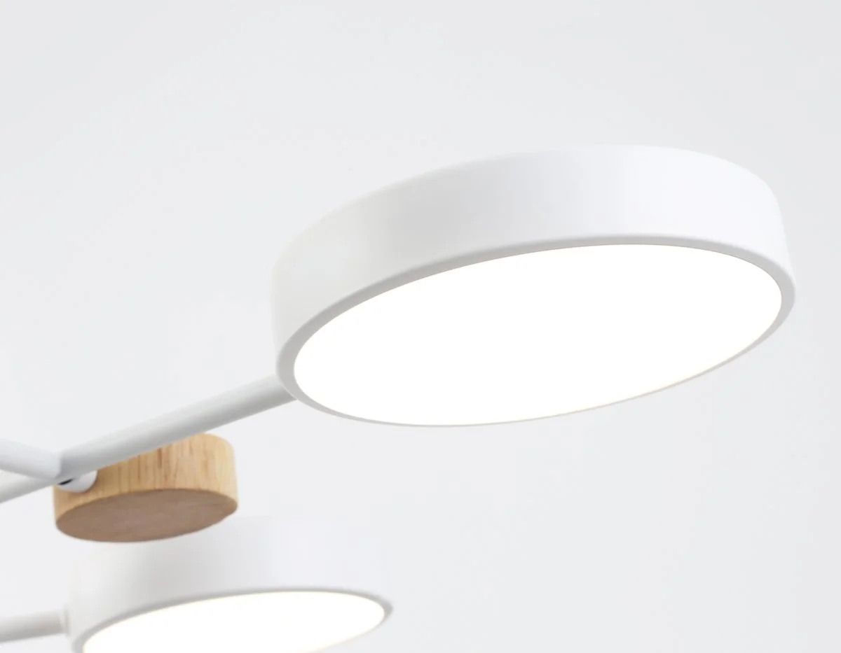 картинка Люстра светодиодная на штанге FL4861