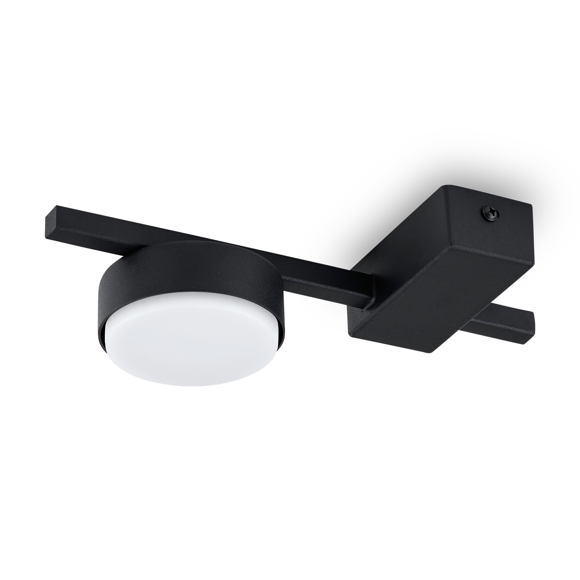 картинка Потолочный светильник Freya FR5363CL-01B