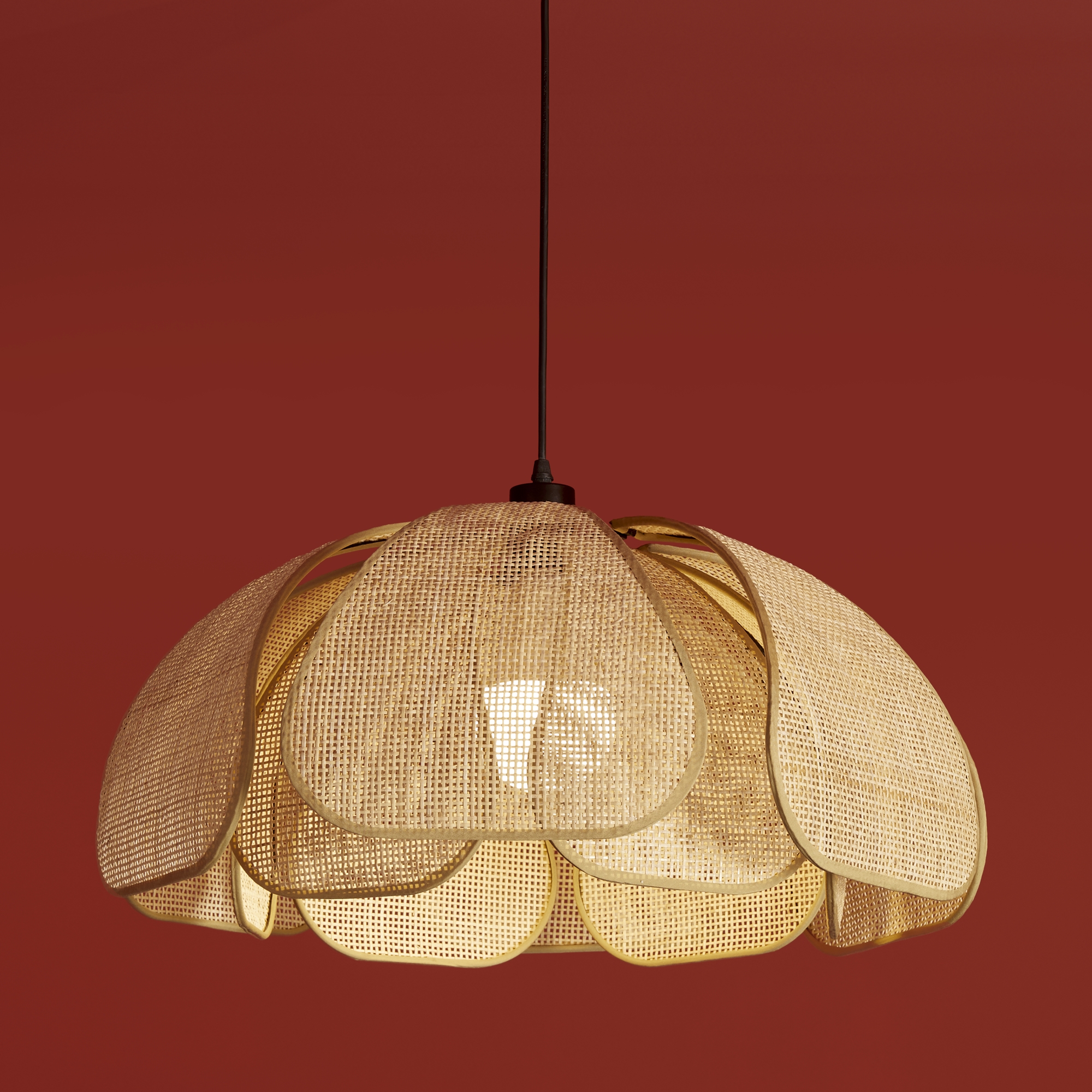 картинка Подвесной светильник Freya FR5529PL-01B