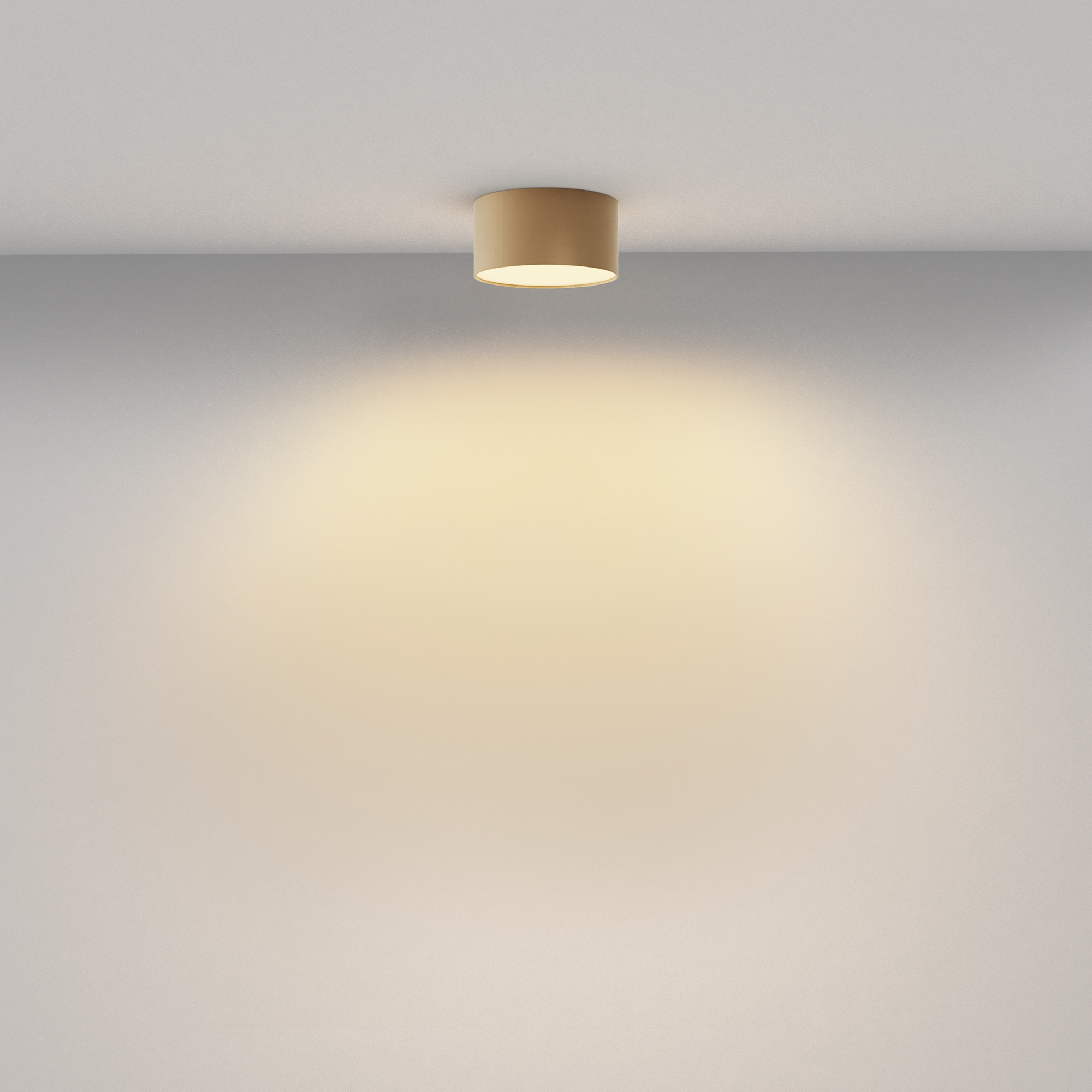 картинка Потолочный светильник Technical C032CL-12W2.7K-RD-MG