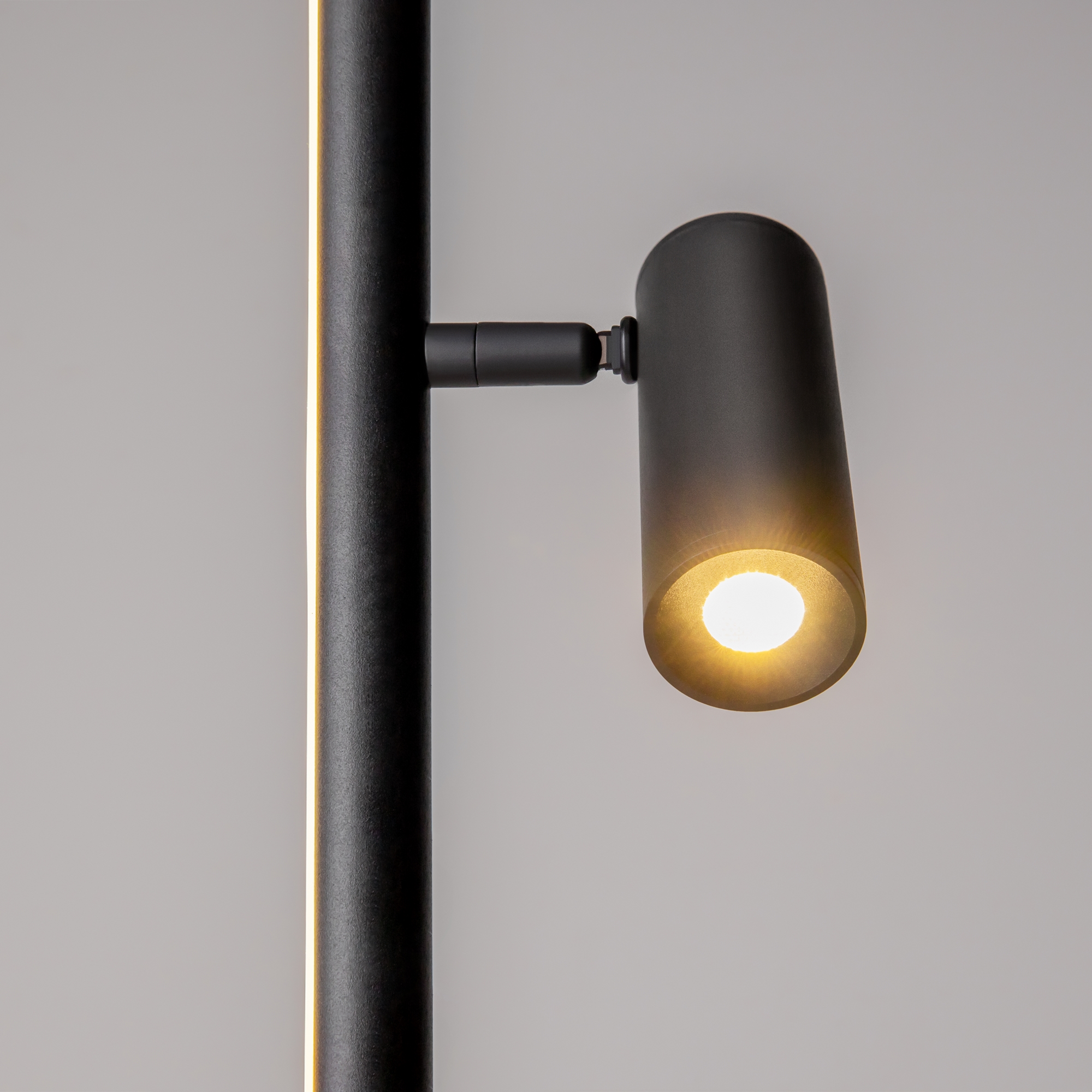 картинка Напольный светильник (торшер) Maytoni MOD395FL-L28B3K