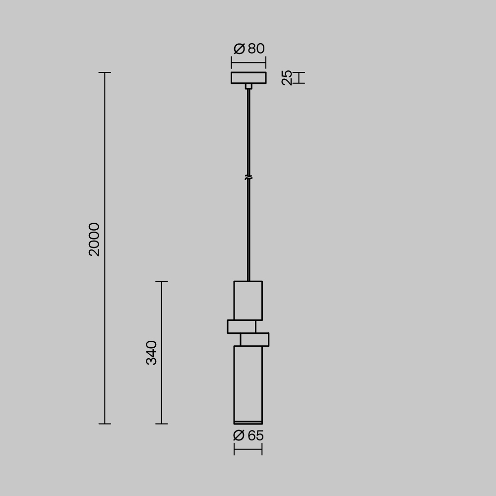 картинка Подвесной светильник Maytoni MOD303PL-01CFL2