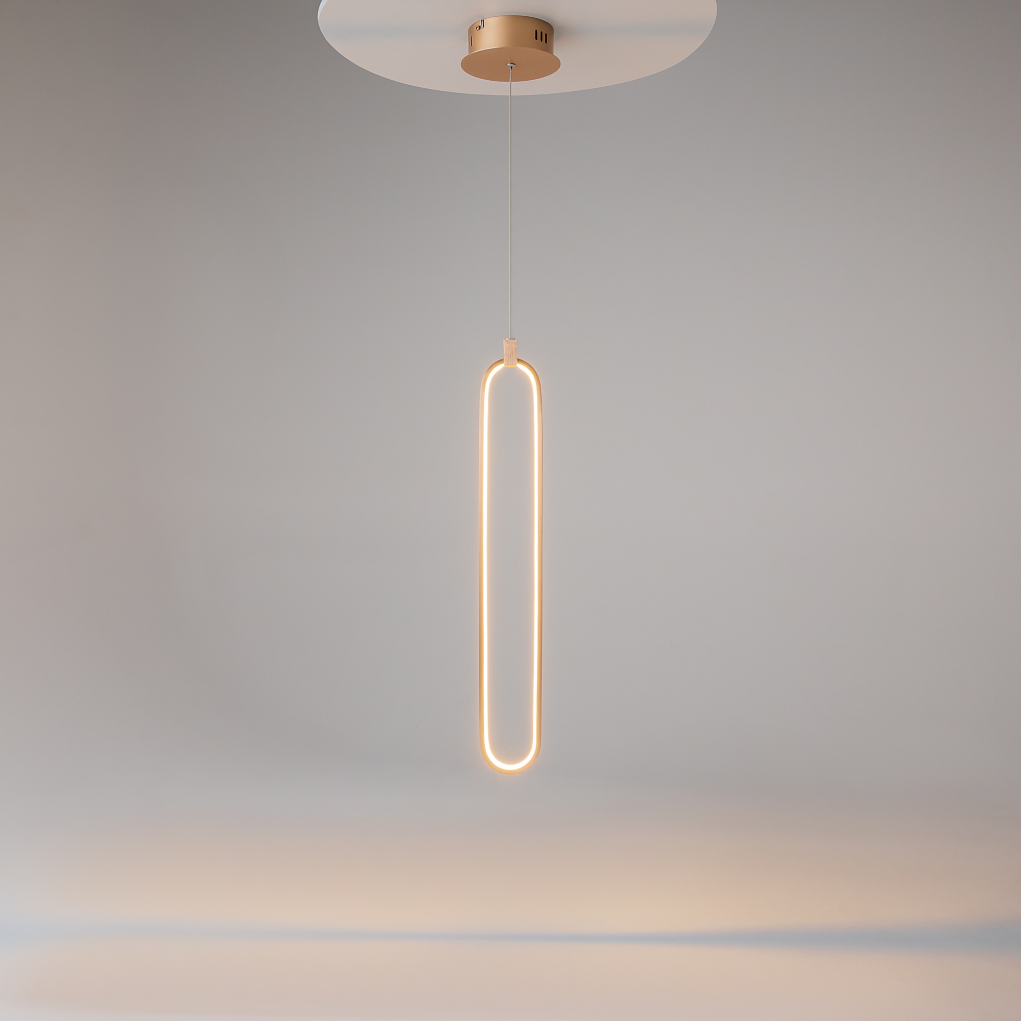 картинка Подвесной светильник Maytoni MOD017PL-L13G