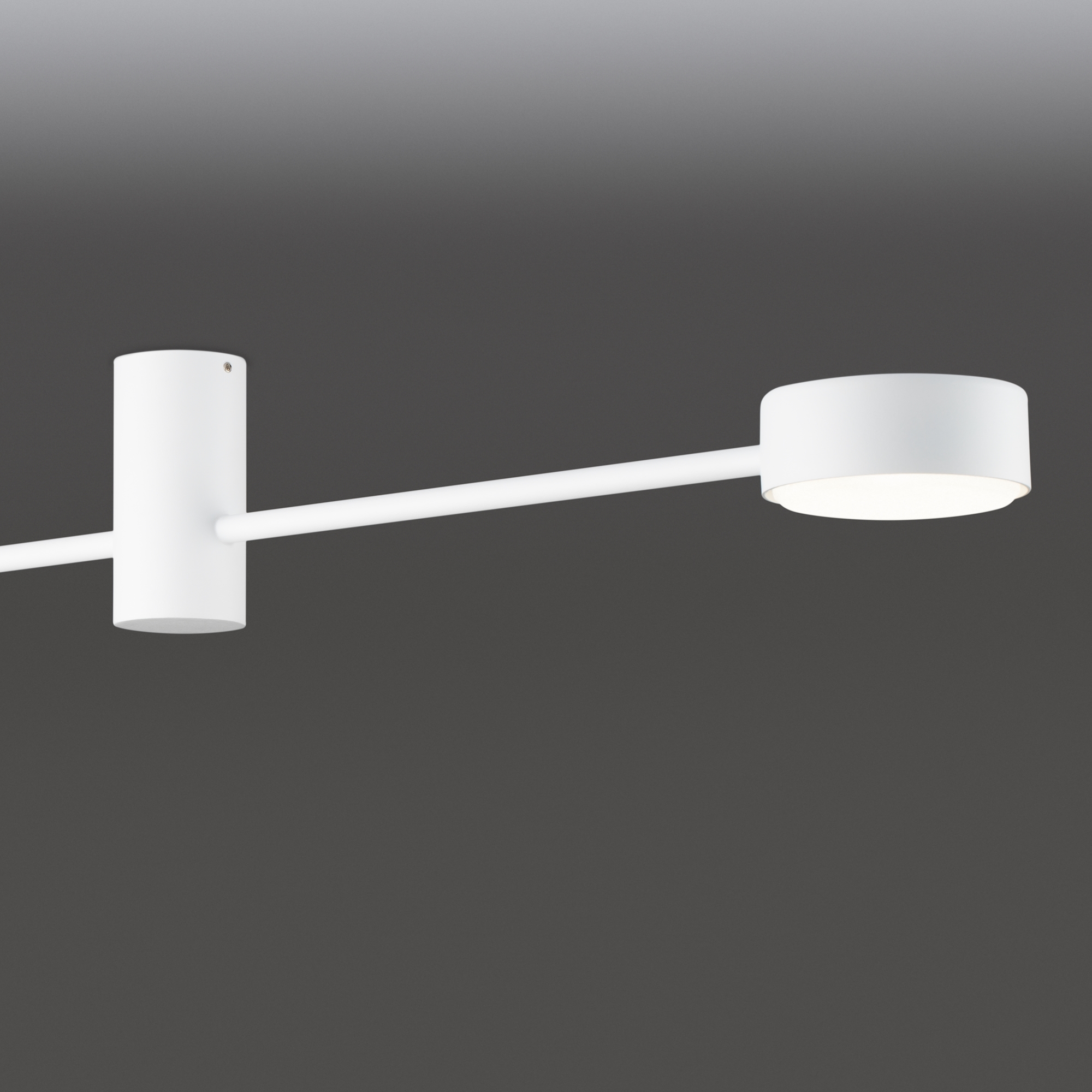 картинка Потолочный светильник Freya FR5363CL-02W1