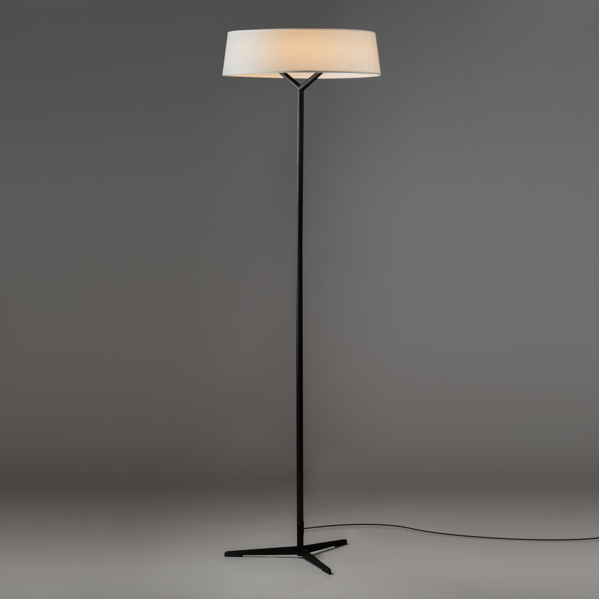 картинка Напольный светильник (торшер) Freya FR6132FL-L15B