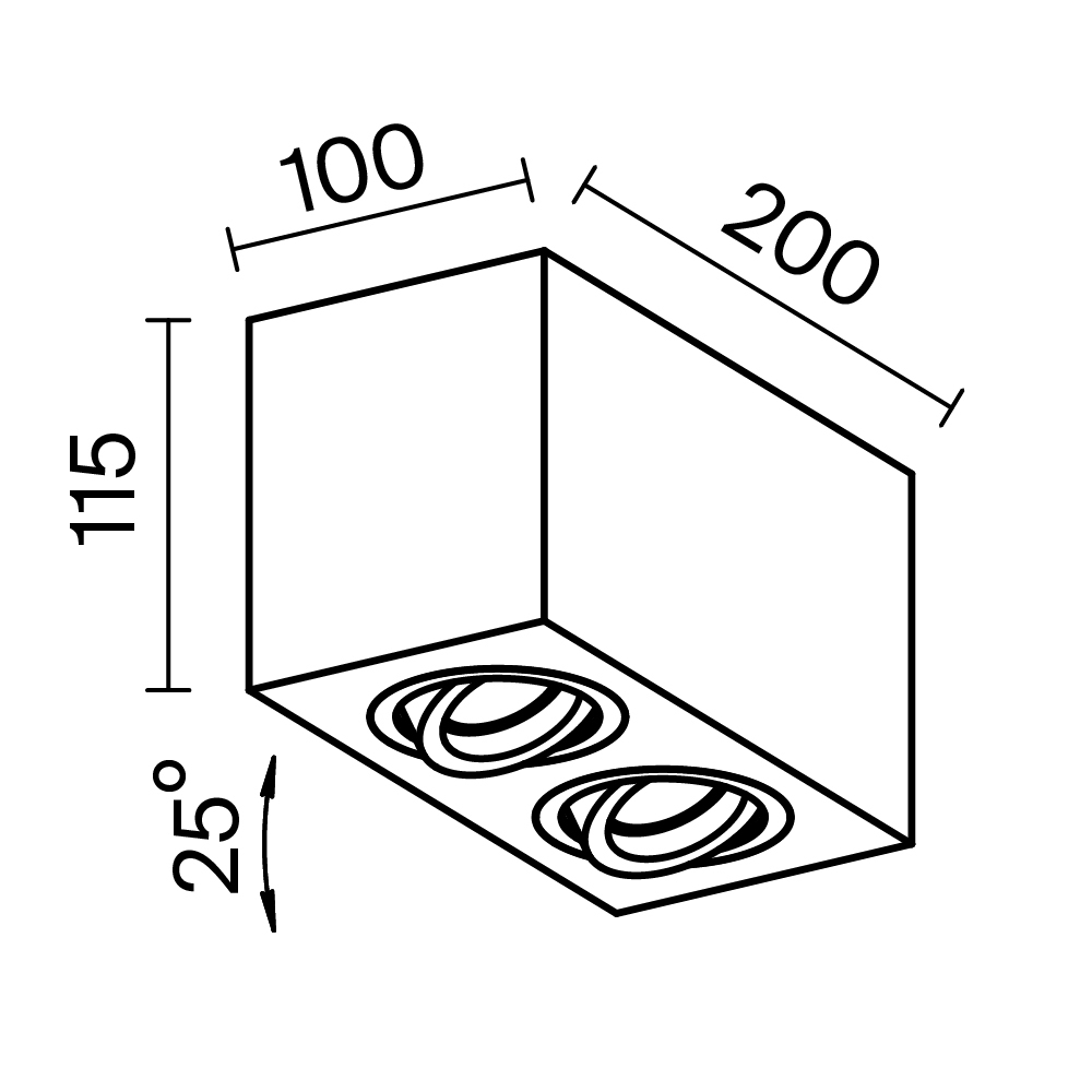 картинка Потолочный светильник Technical C017CL-02B