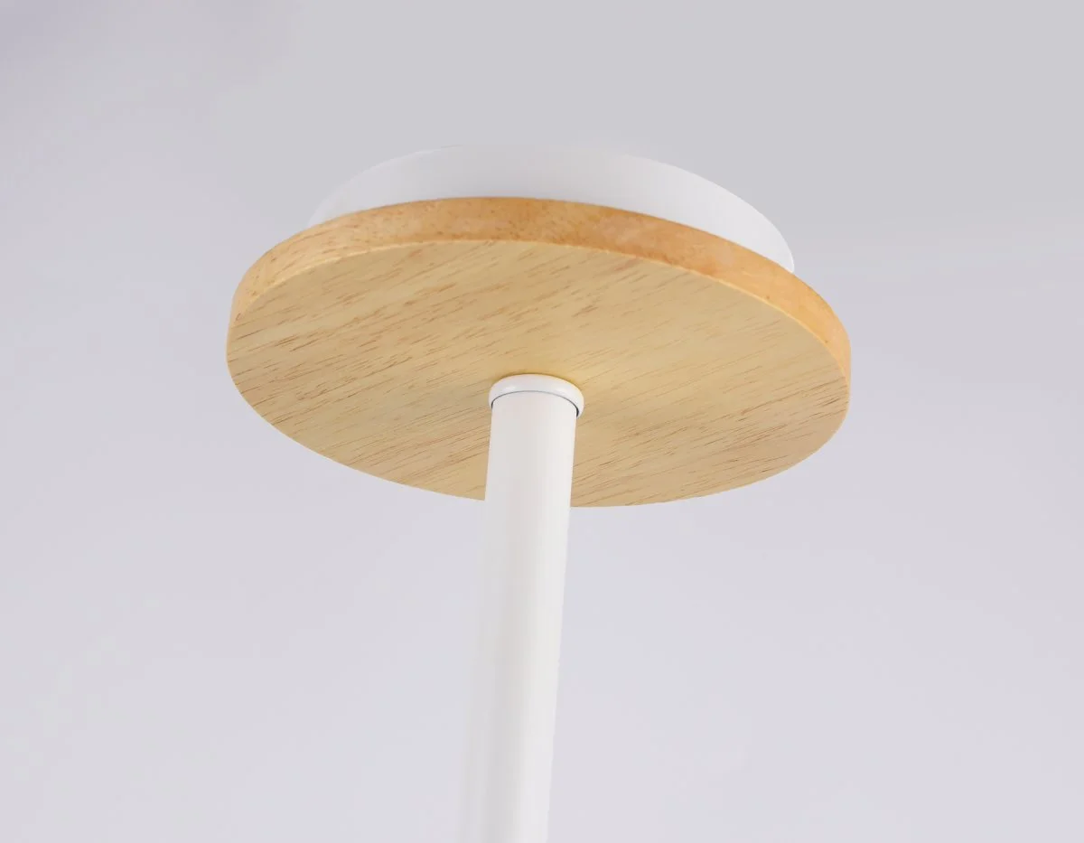 картинка Подвесная люстра TR80166