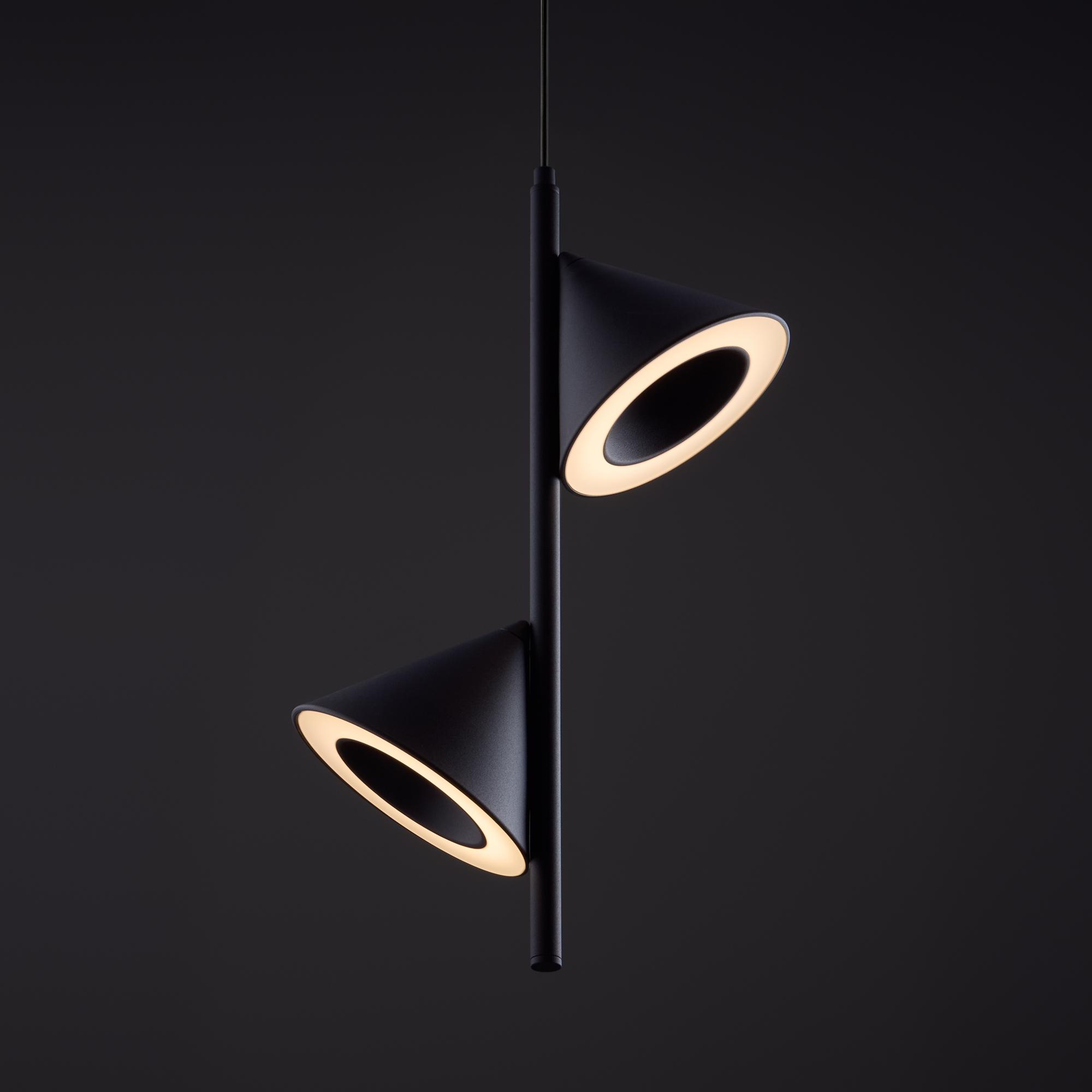 картинка Подвесной светильник Freya FR6141PL-L14B