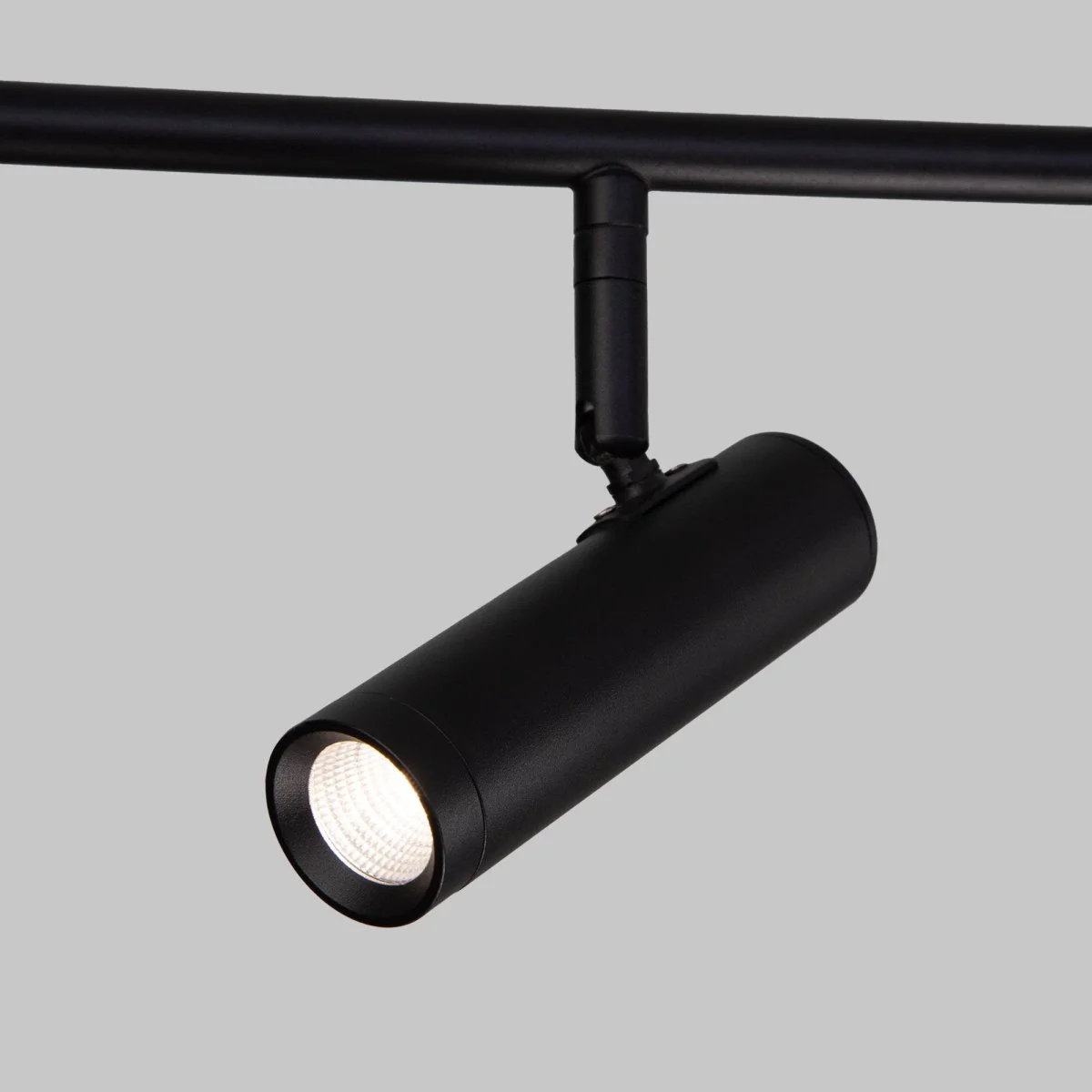 картинка Потолочный светильник 20252/6 LED черный