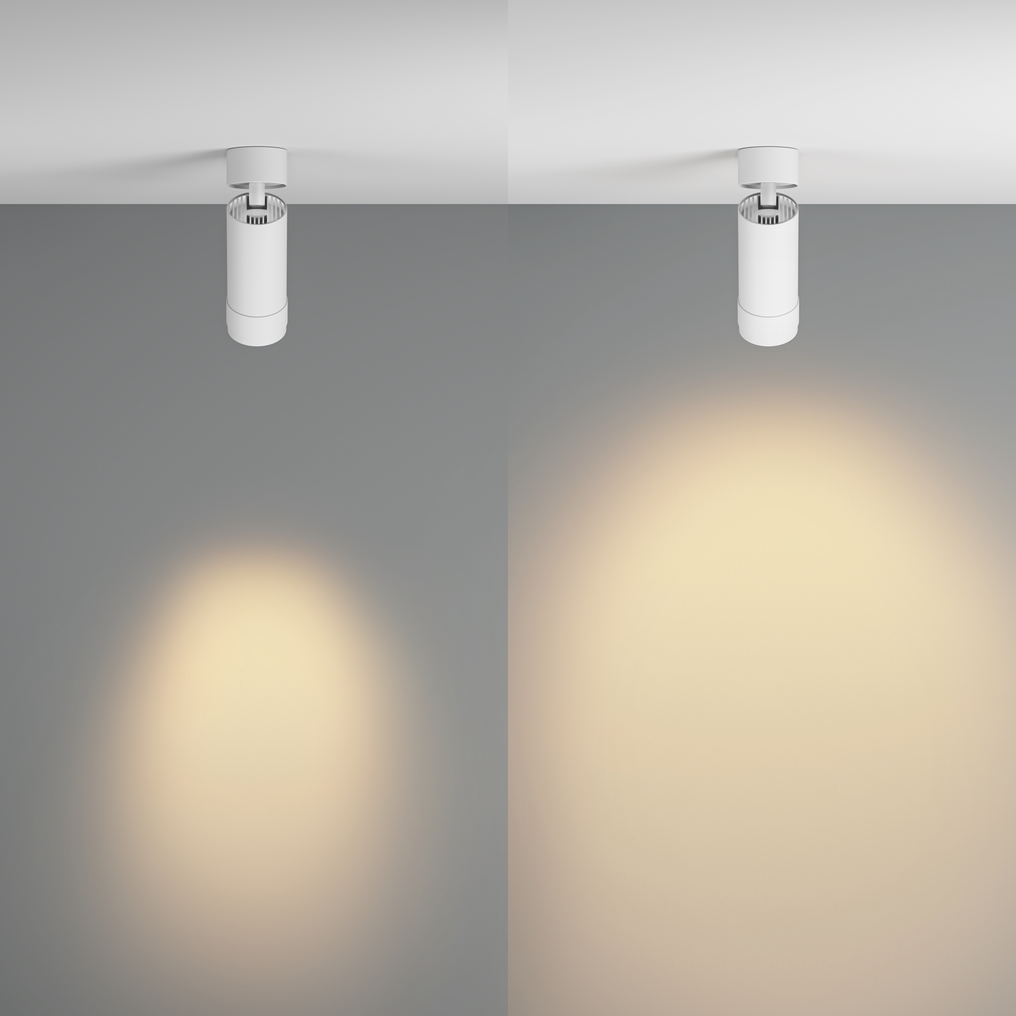 картинка Потолочный светильник Technical C055CL-L12W2.7K-Z-W