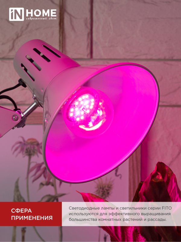 картинка Лампа светодиодная LED-A60 STD-ФИТО красно-синий спектр 15Вт 230В Е27 IN HOME