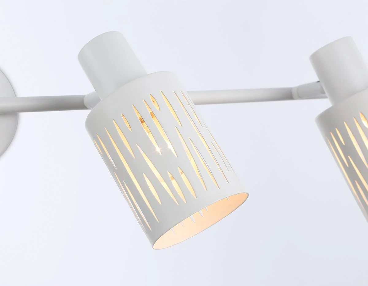 картинка Настенно-потолочный спот в стиле лофт TR8666