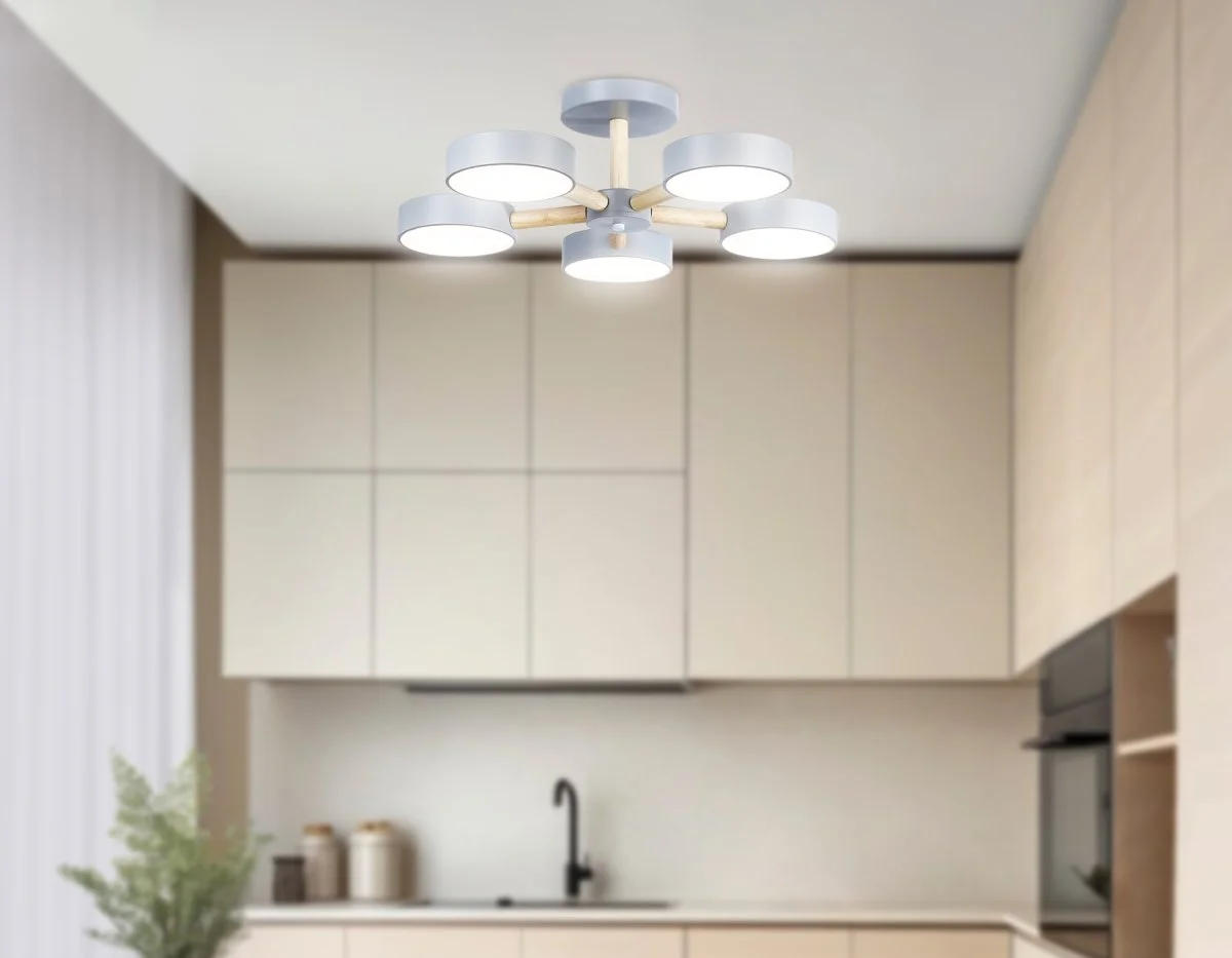 картинка Подвесной светодиодный светильник с пультом FL4826